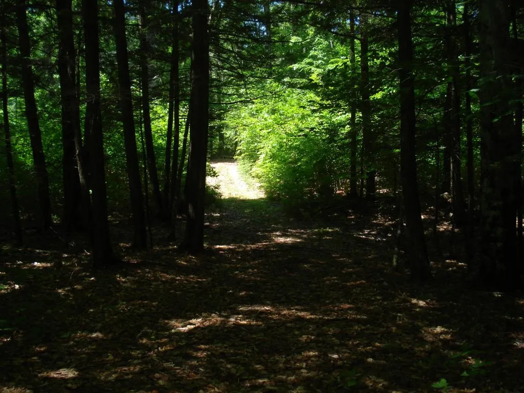 75 Eagle Shore Road Moultonborough NH 03254