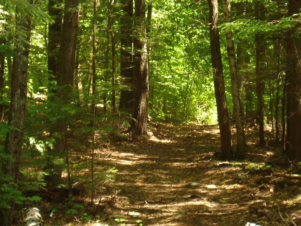 75 Eagle Shore Road Moultonborough NH 03254