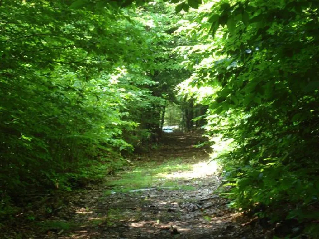 75 Eagle Shore Road Moultonborough NH 03254