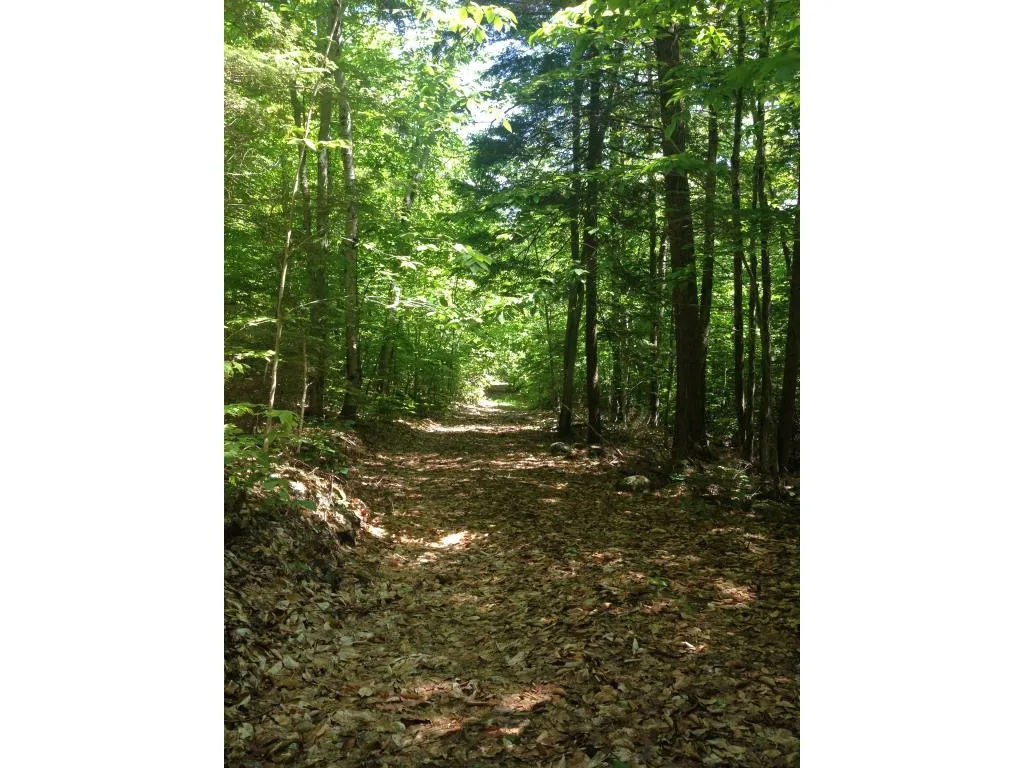75 Eagle Shore Road Moultonborough NH 03254