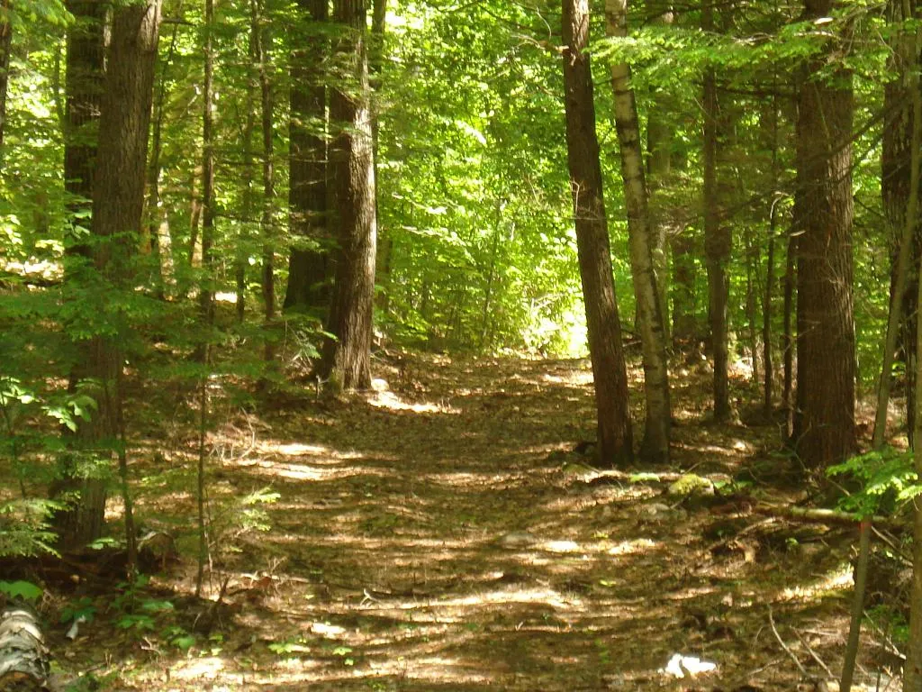 75 Eagle Shore Road Moultonborough NH 03254