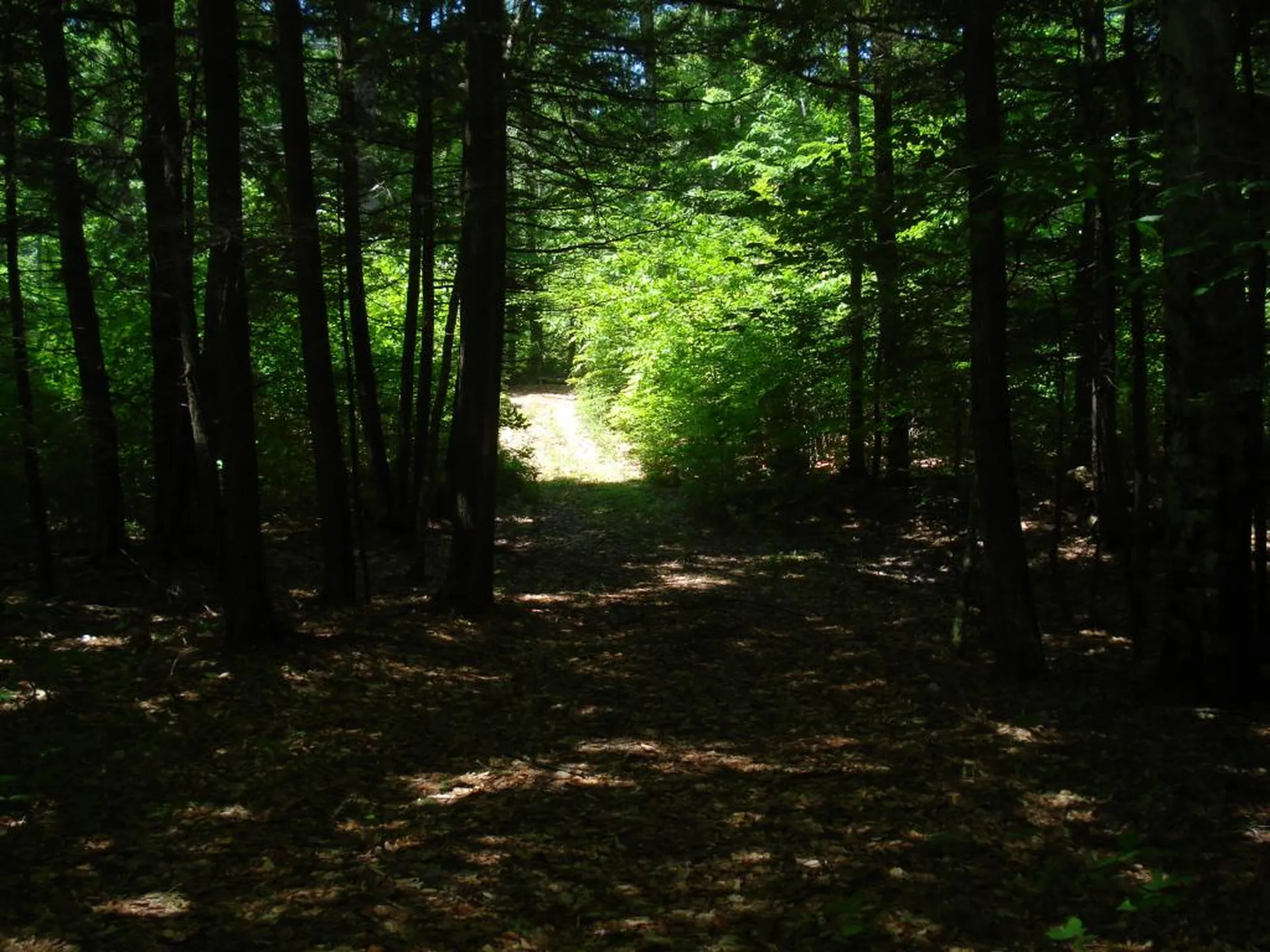 75 Eagle Shore Road Moultonborough NH 03254