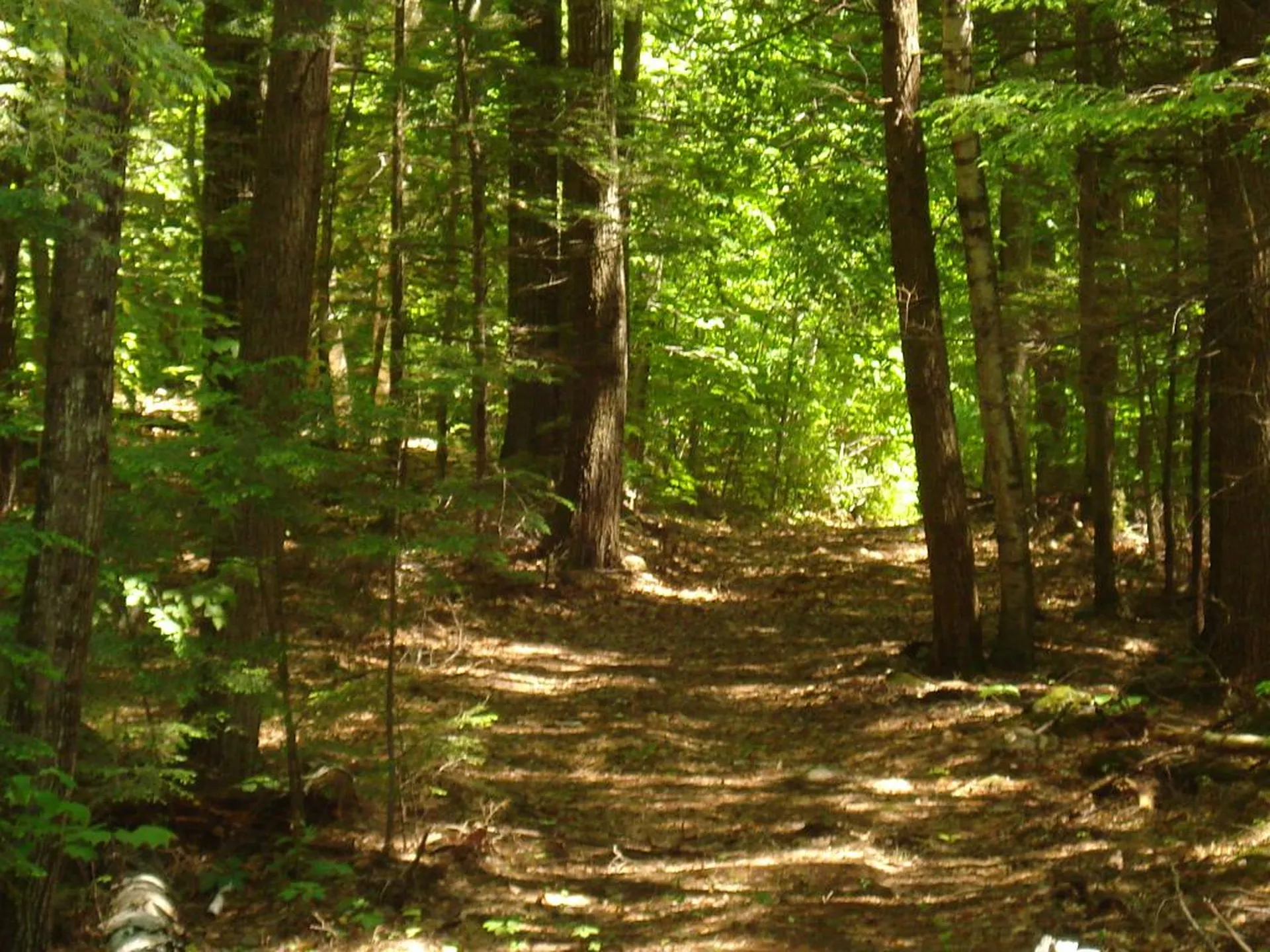 75 Eagle Shore Road Moultonborough NH 03254