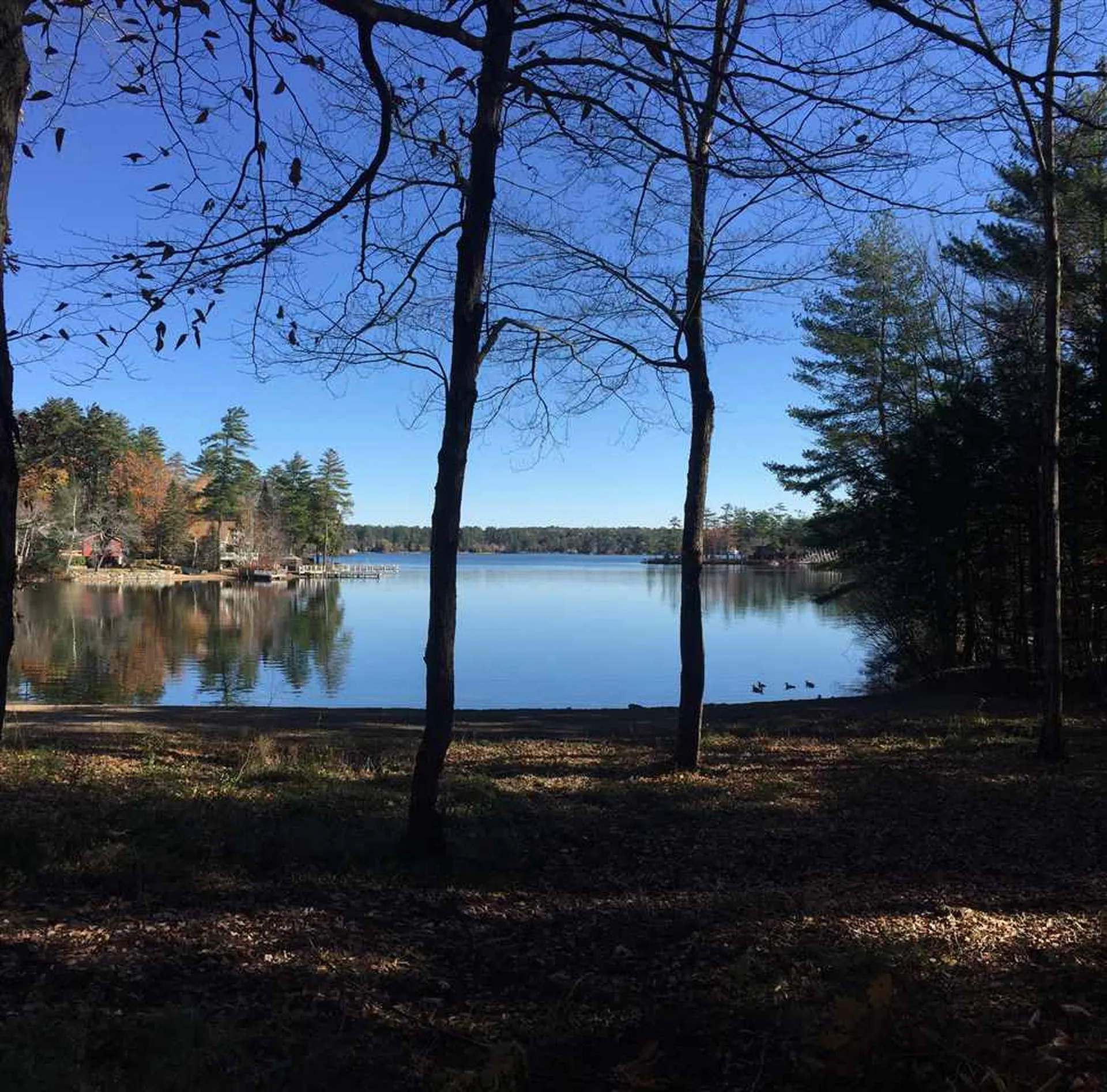 75 Eagle Shore Road Moultonborough NH 03254