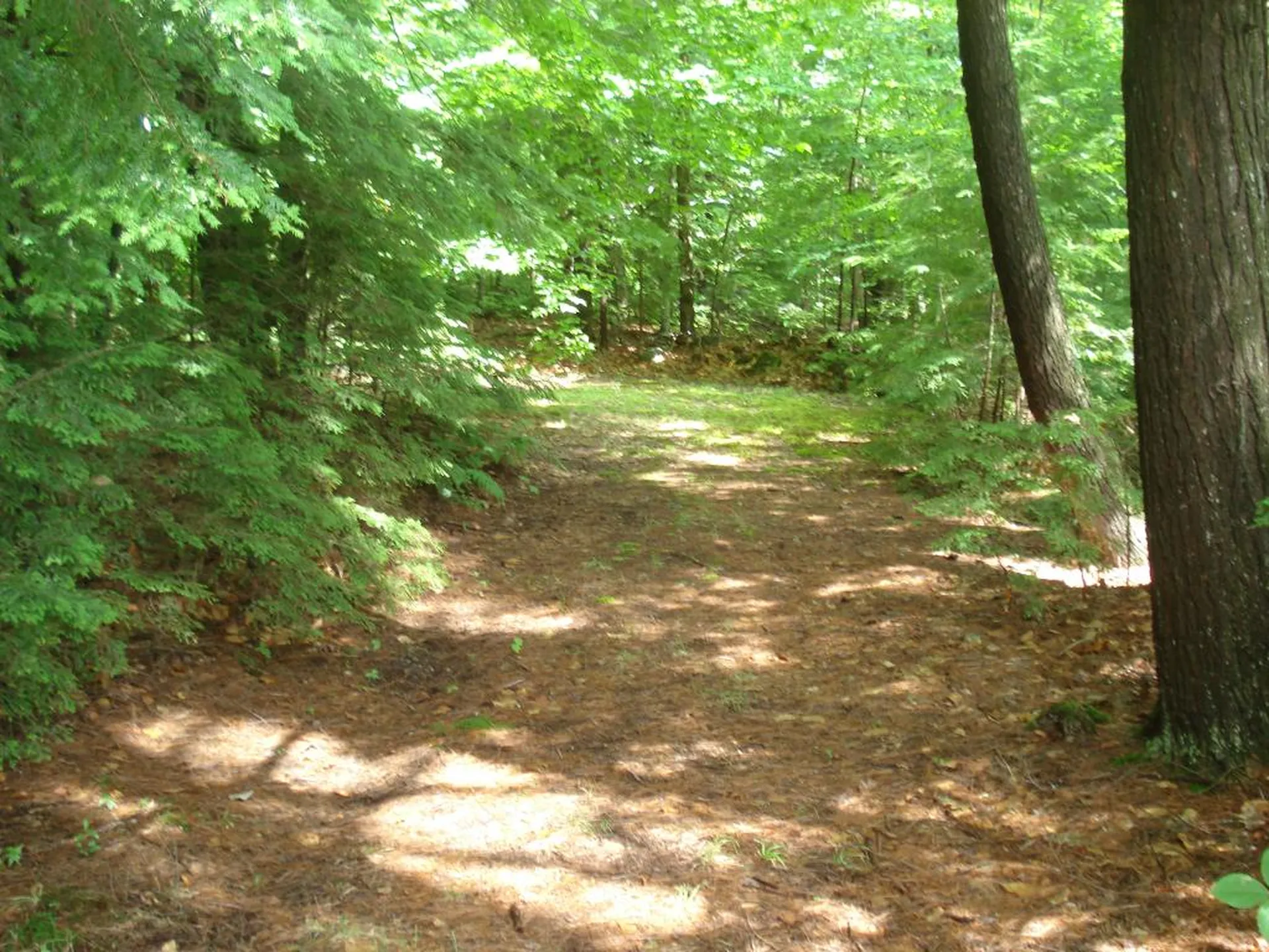 75 Eagle Shore Road Moultonborough NH 03254