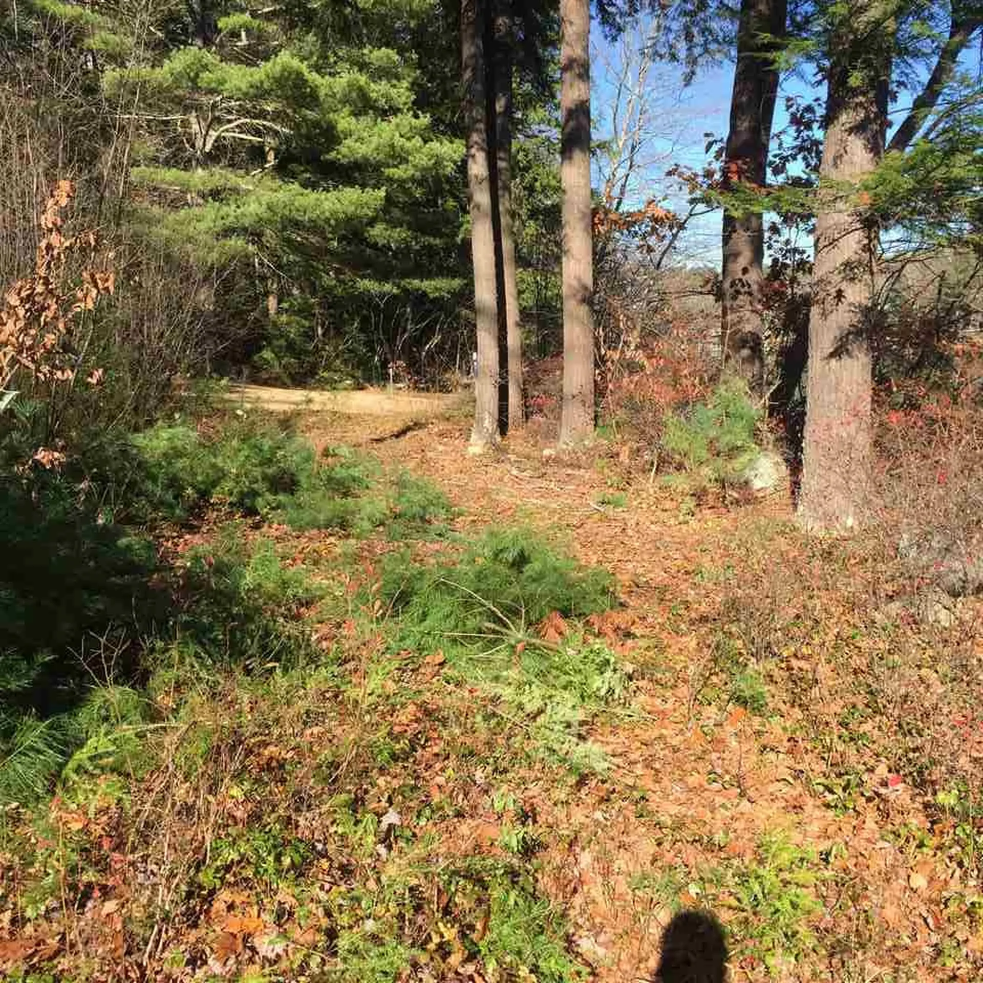 75 Eagle Shore Road Moultonborough NH 03254