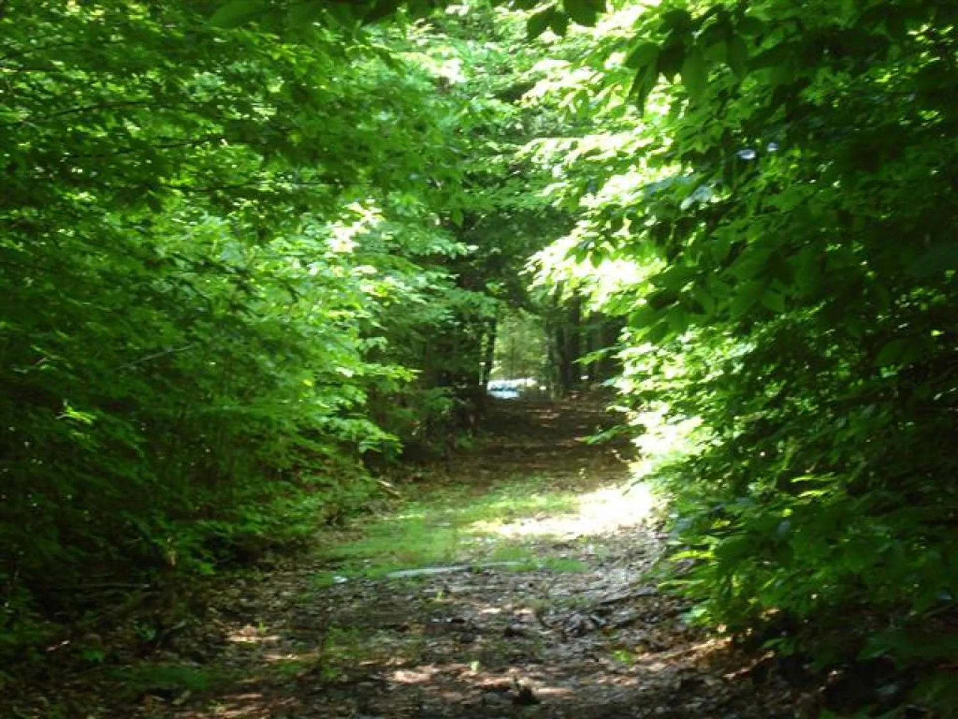 75 Eagle Shore Road Moultonborough NH 03254