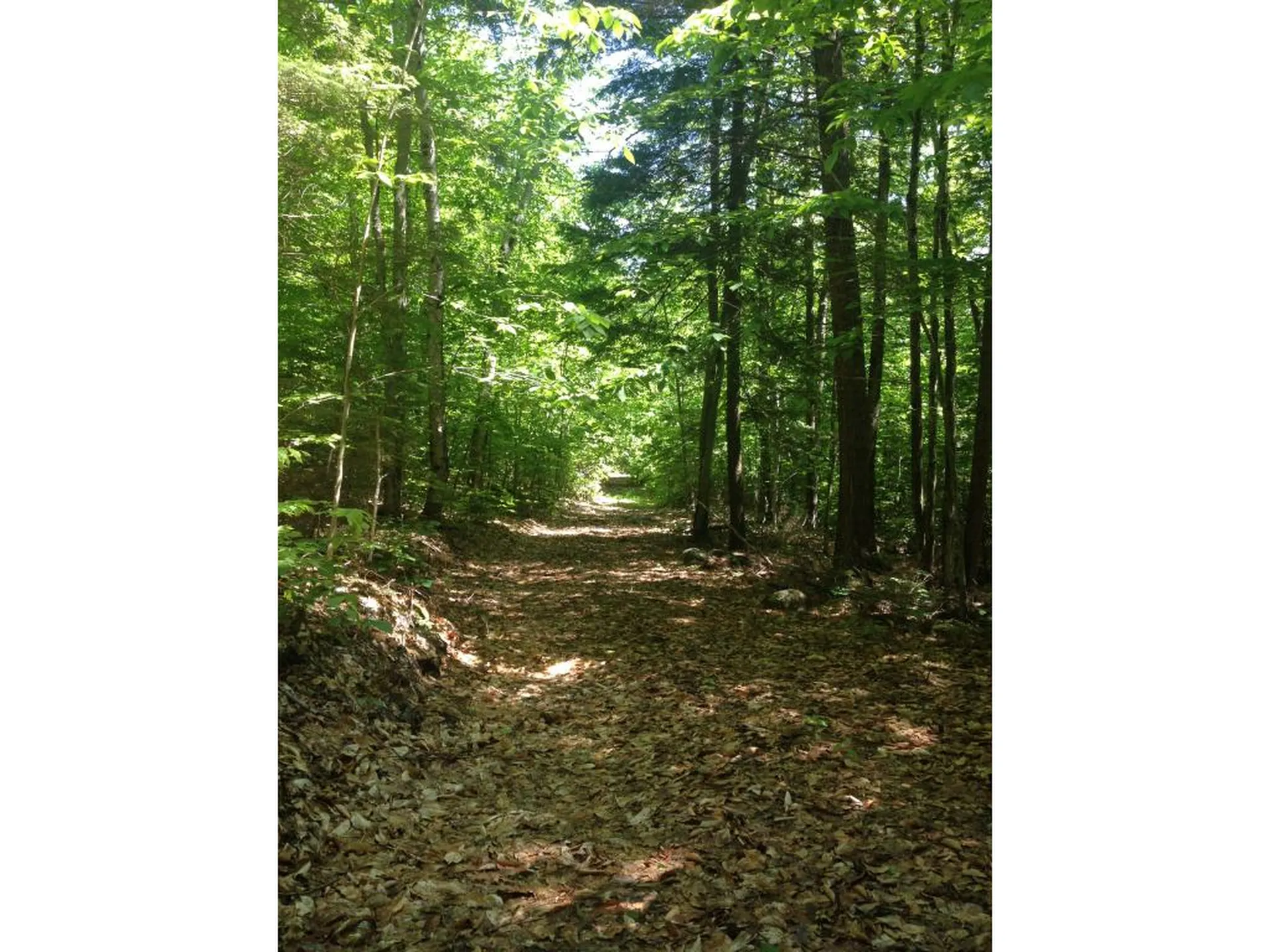 75 Eagle Shore Road Moultonborough NH 03254
