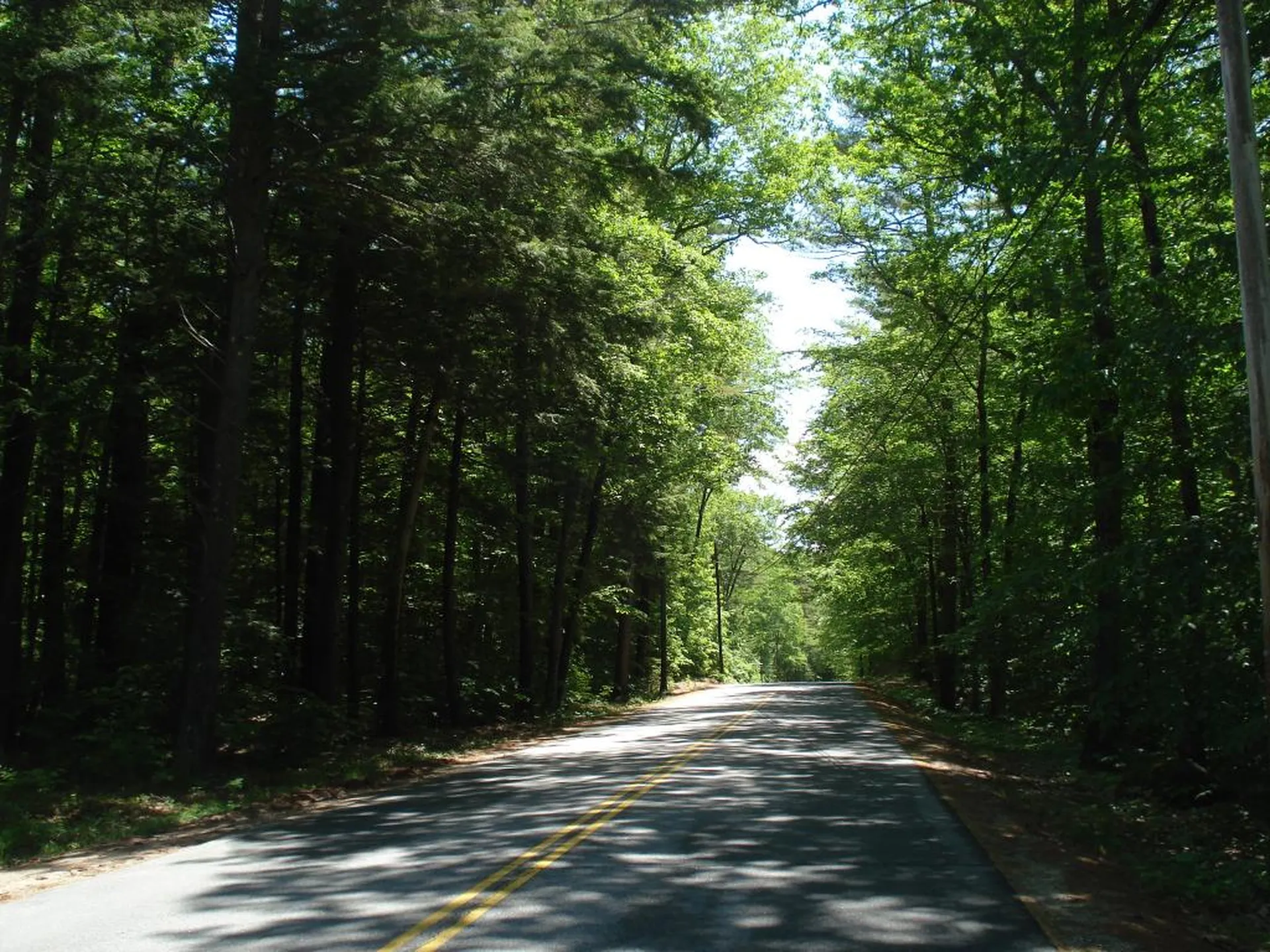 75 Eagle Shore Road Moultonborough NH 03254