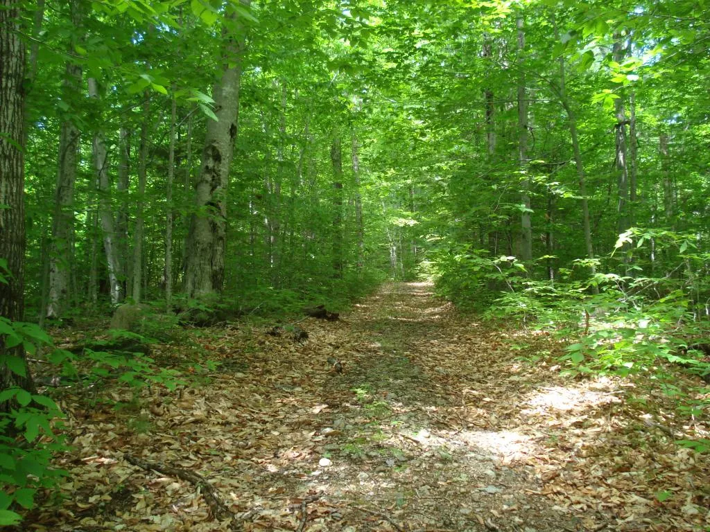 75 Eagle Shore Road Moultonborough NH 03254