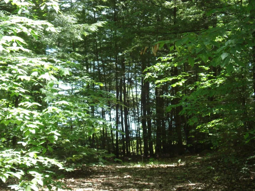 75 Eagle Shore Road Moultonborough NH 03254