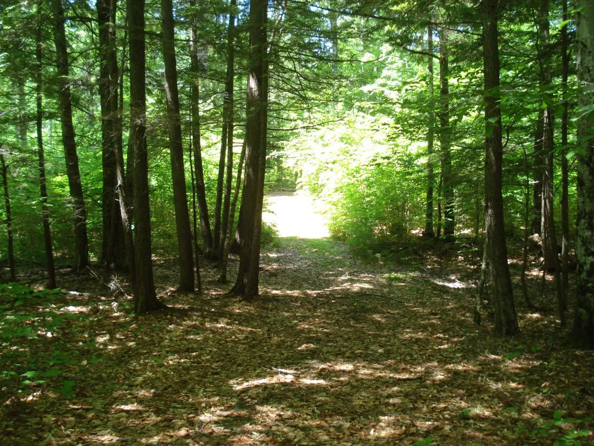 75 Eagle Shore Road Moultonborough NH 03254