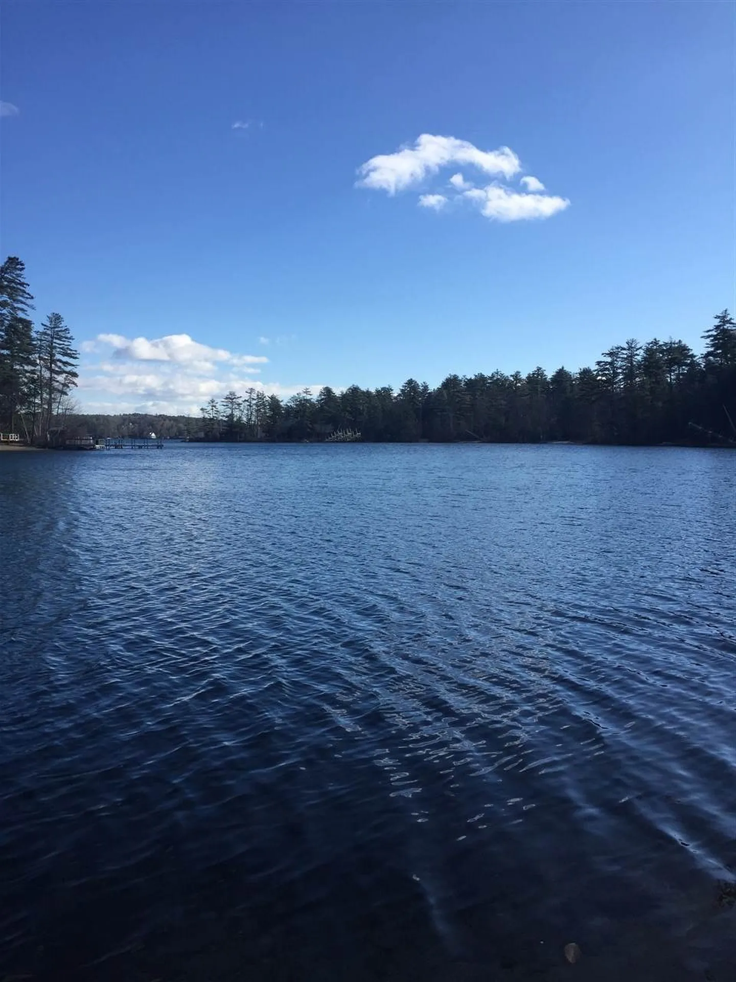 75 Eagle Shore Road Moultonborough NH 03254
