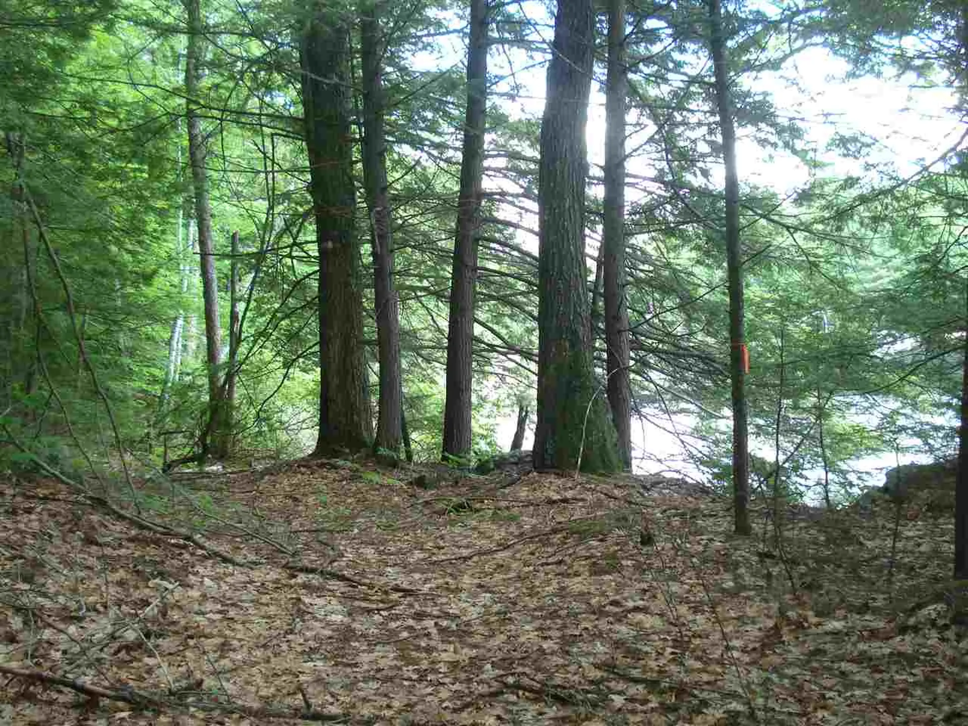 75 Eagle Shore Road Moultonborough NH 03254