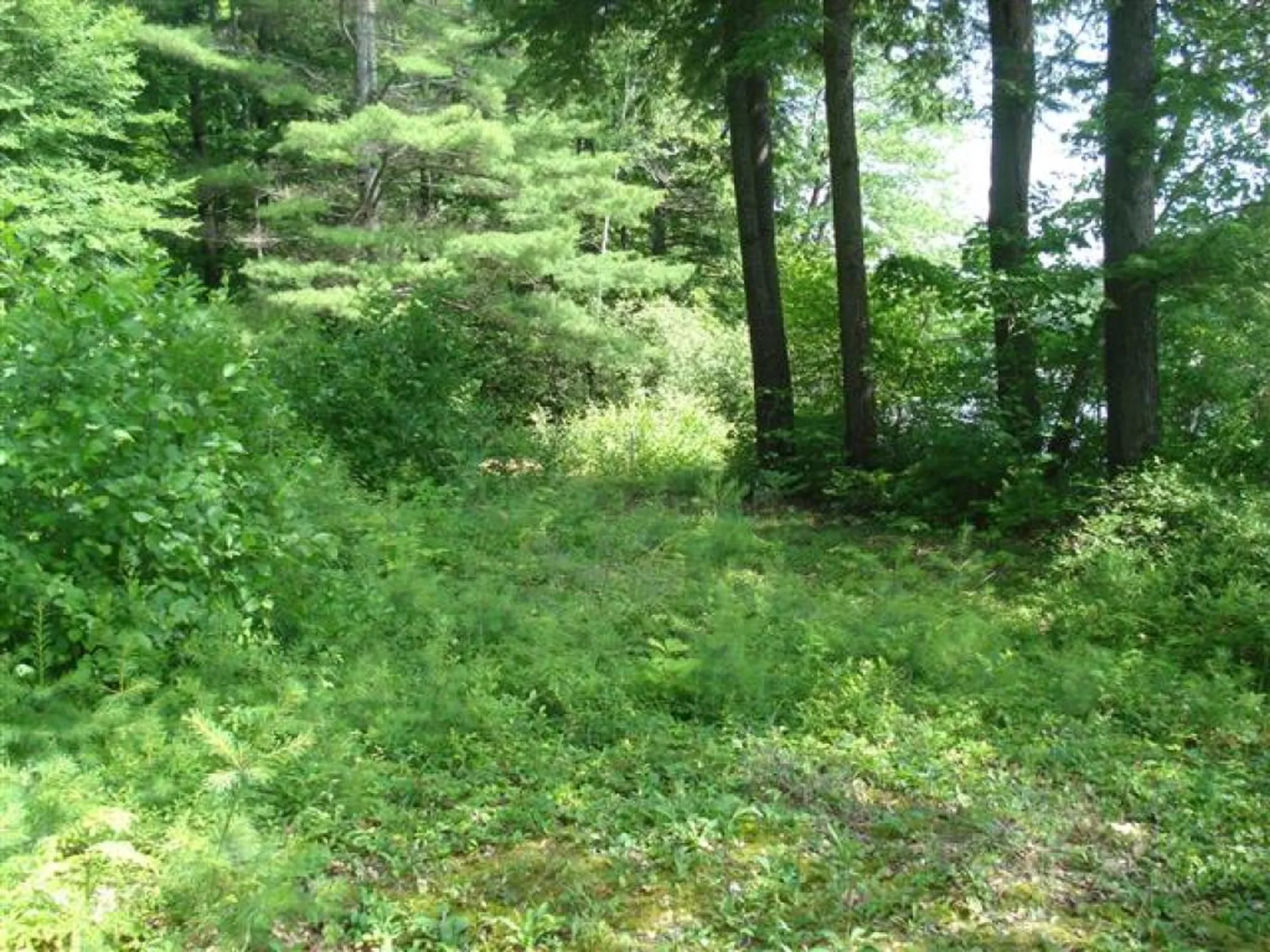 75 Eagle Shore Road Moultonborough NH 03254