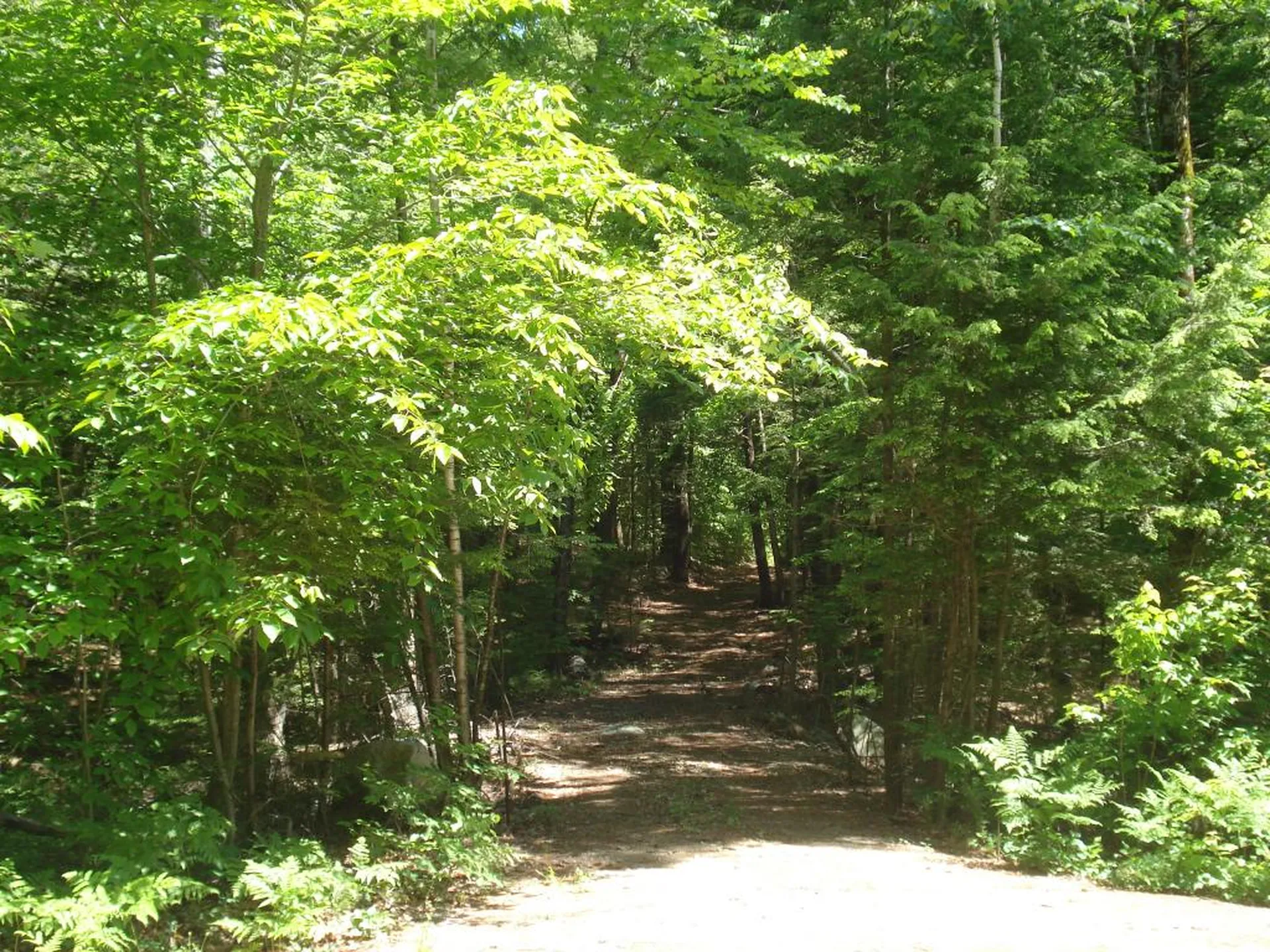 75 Eagle Shore Road Moultonborough NH 03254