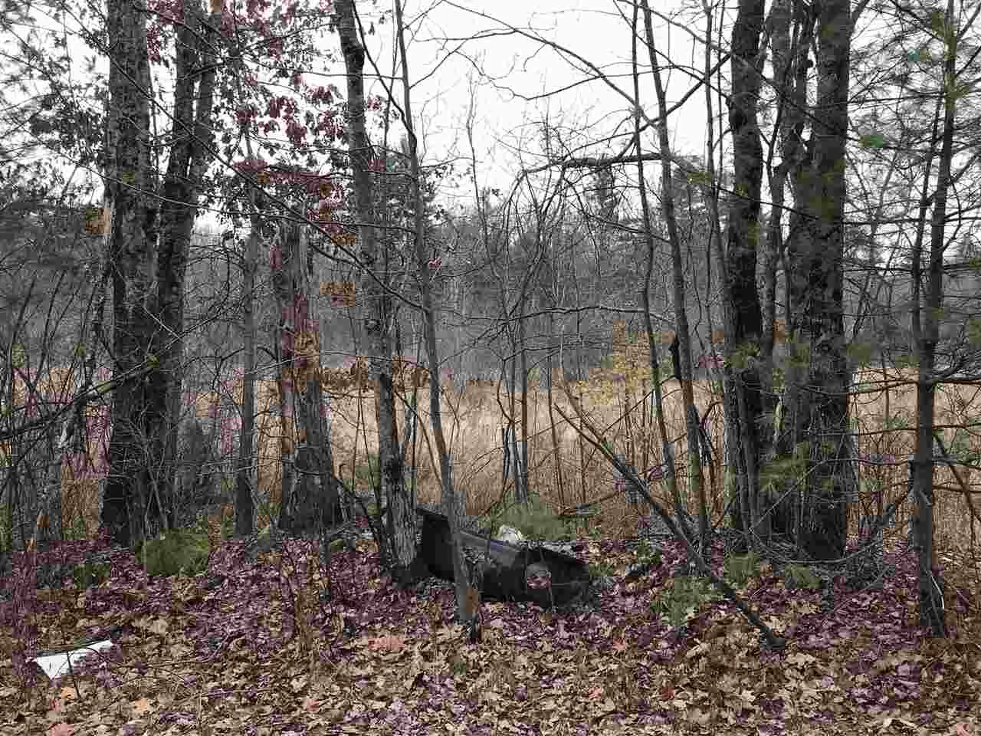 Route 125 Barrington NH 03825