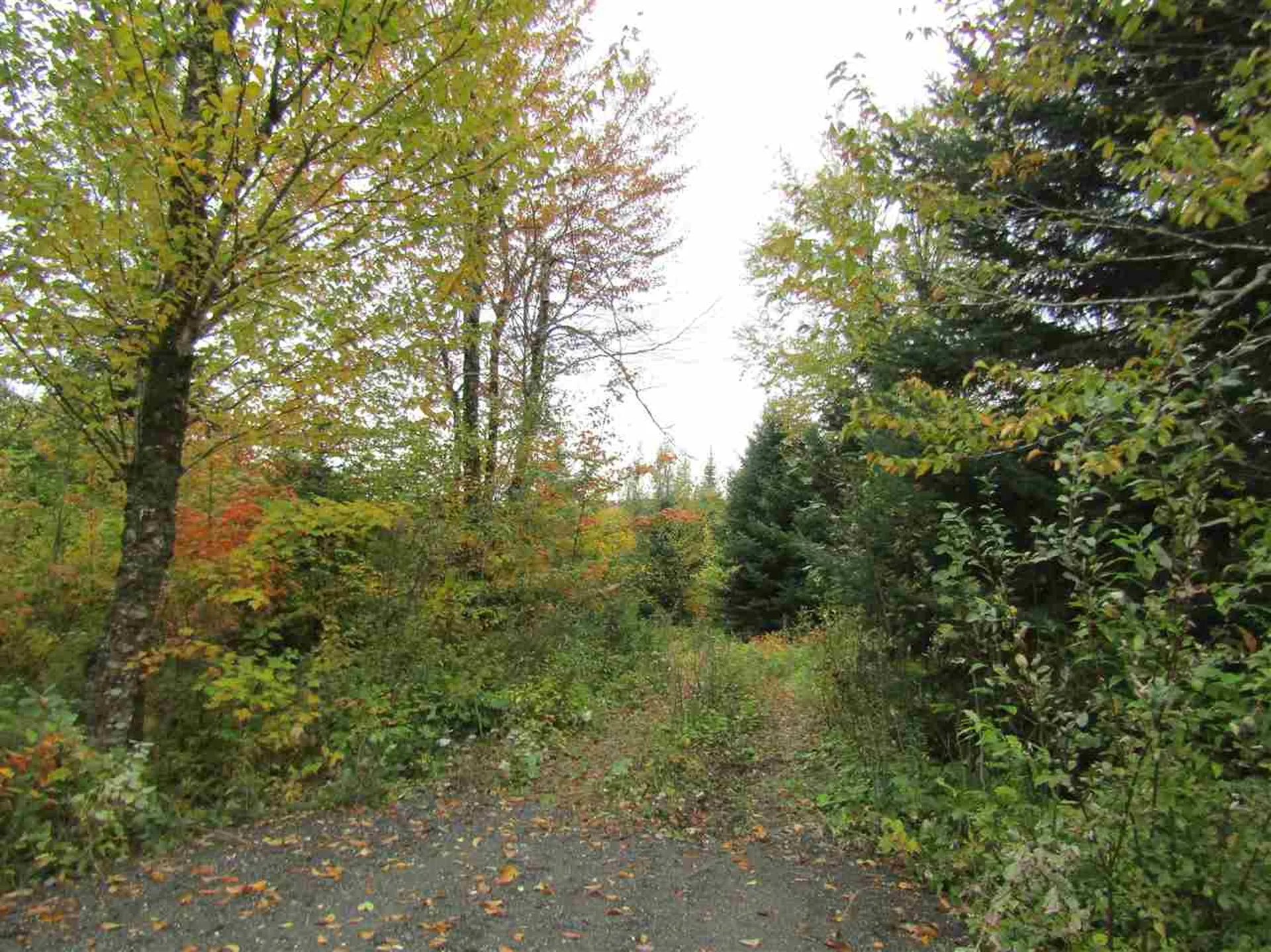 31 Valley View Drive Pittsburg NH 03592