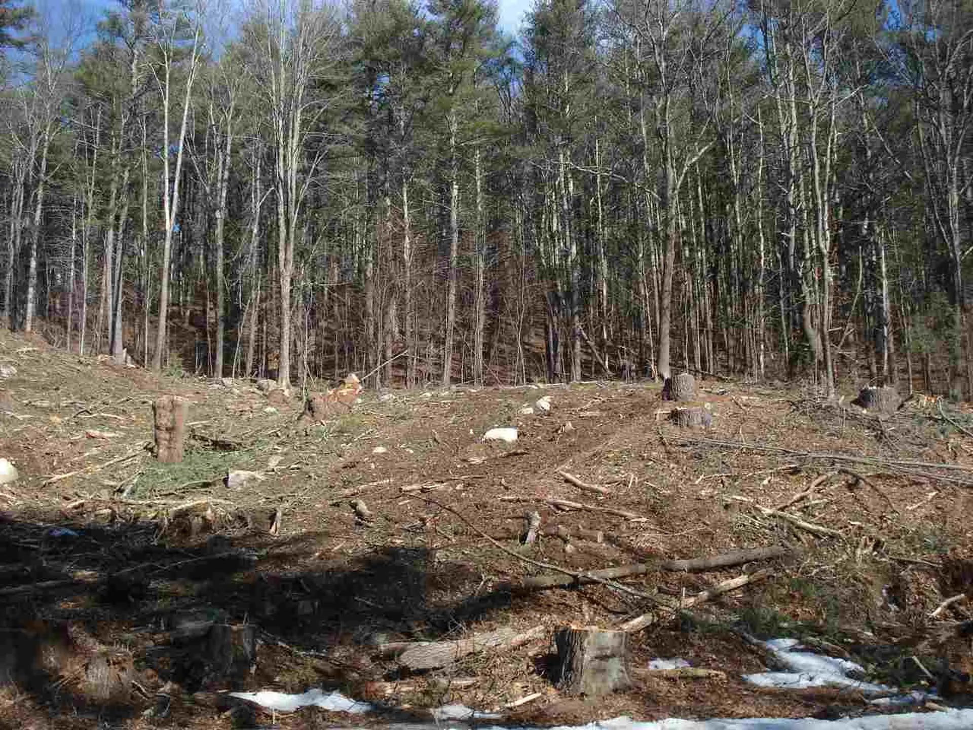 95 Haverhill Road East Kingston NH 03827