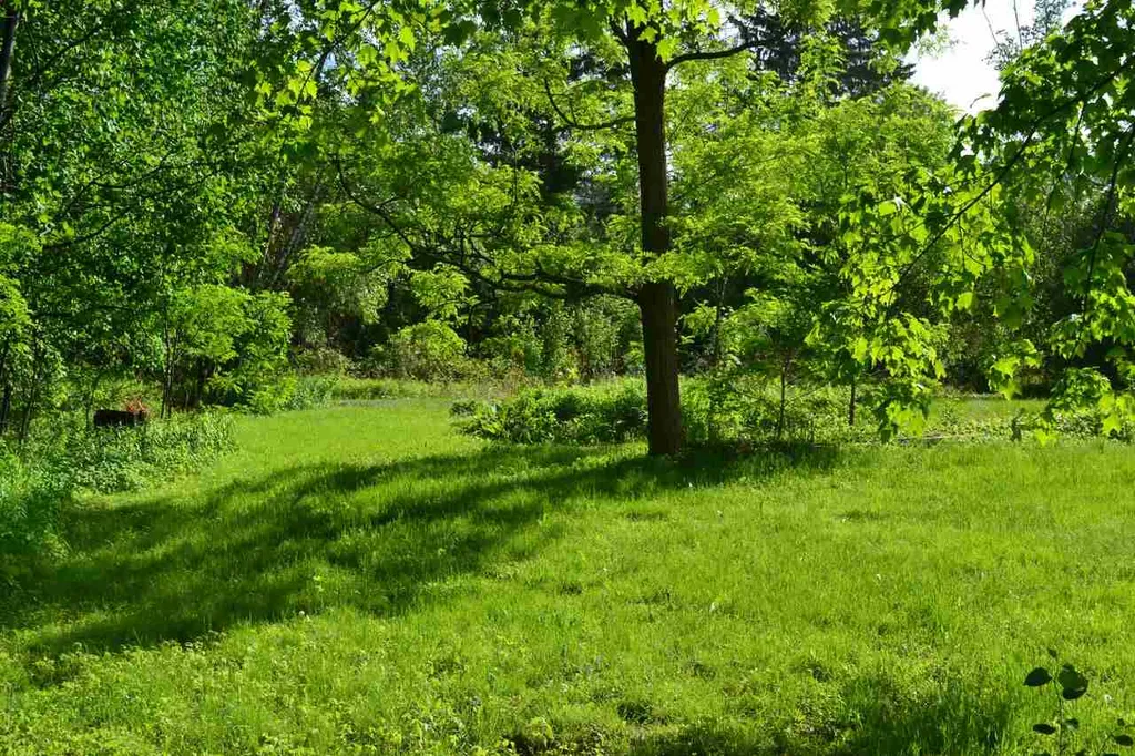 7604 Williston Road Williston VT 05495