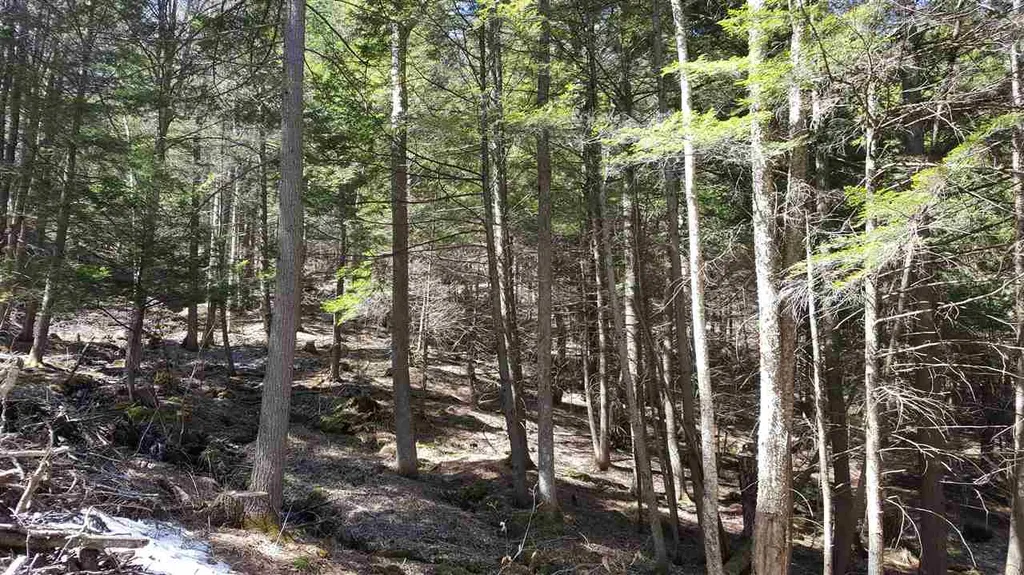 0 Route 113 West Fairlee VT 05083