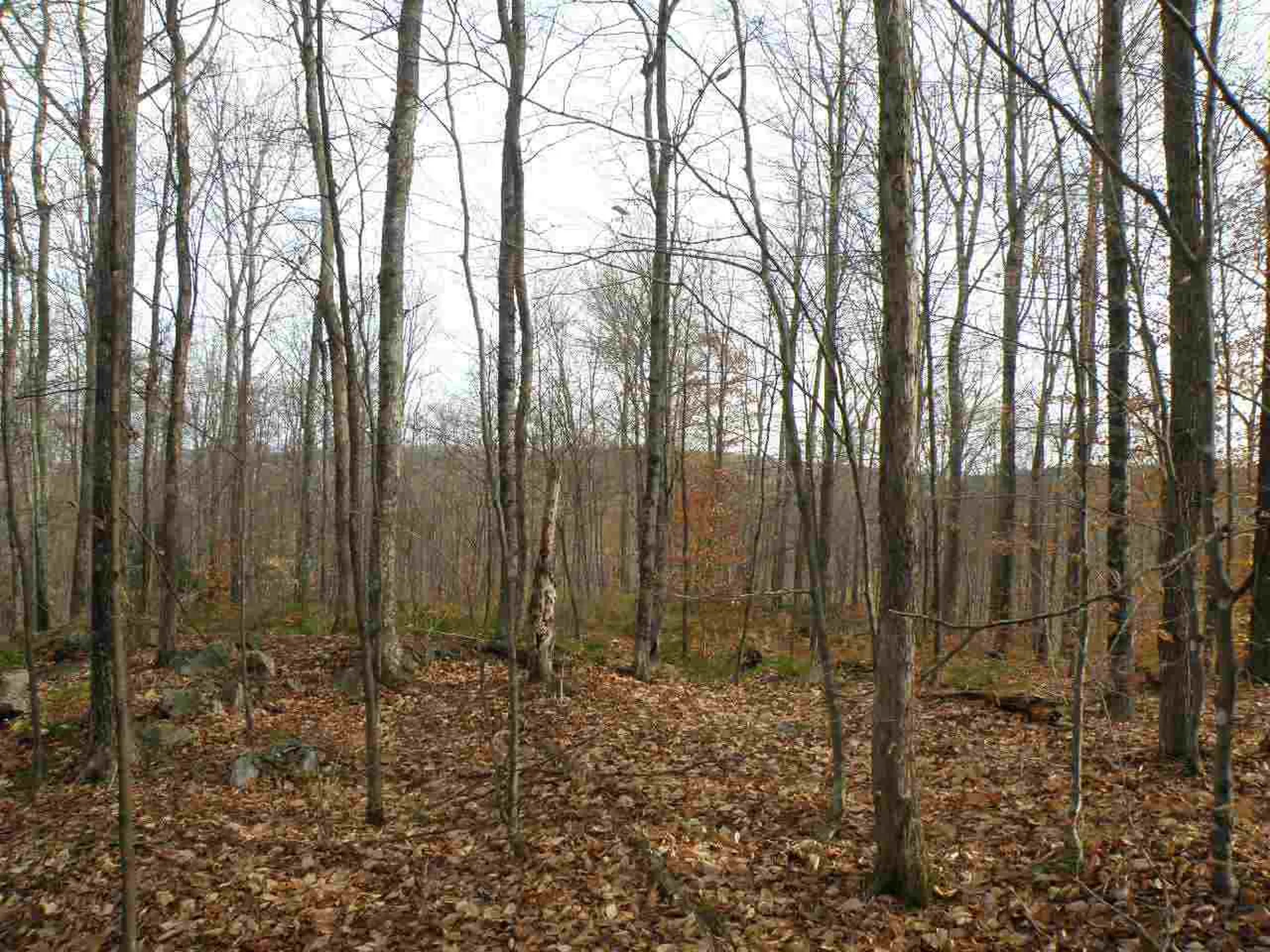 0 Route 113 West Fairlee VT 05083