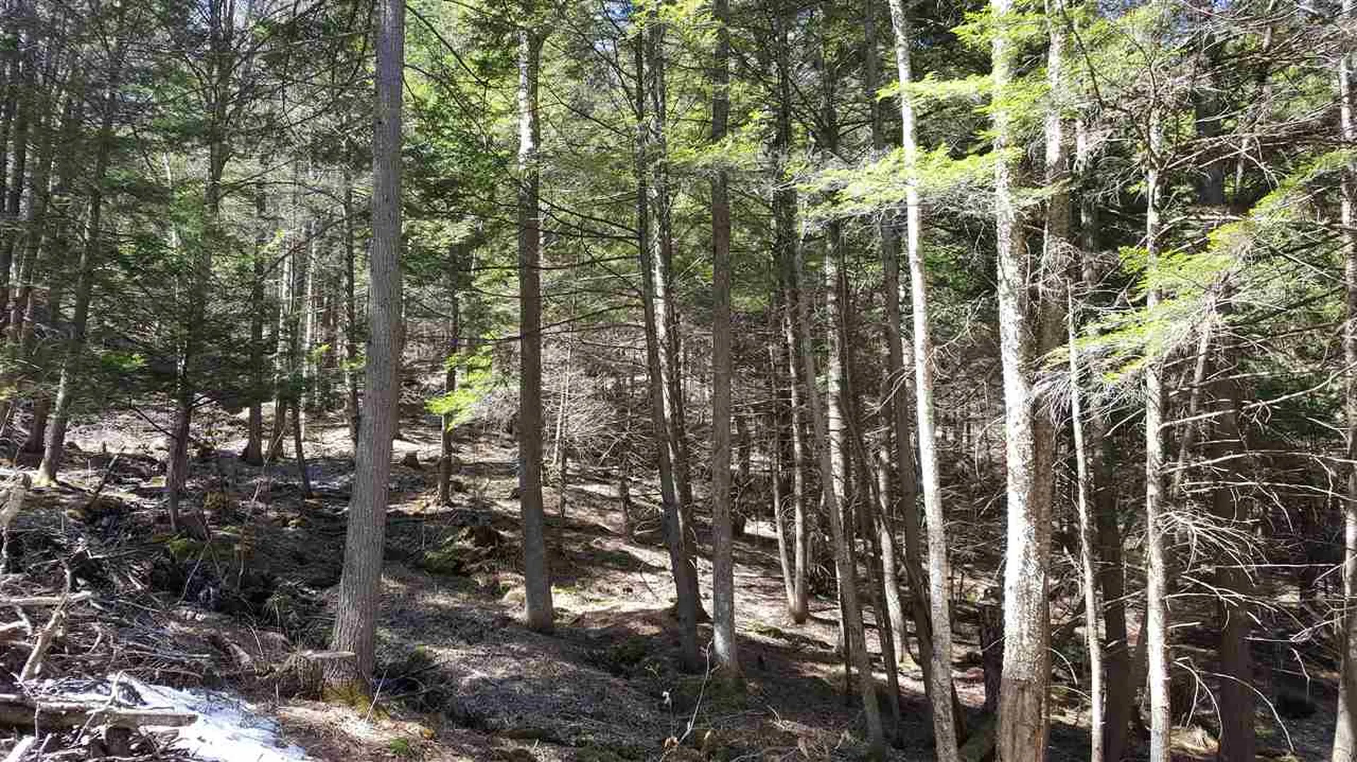 0 Route 113 West Fairlee VT 05083