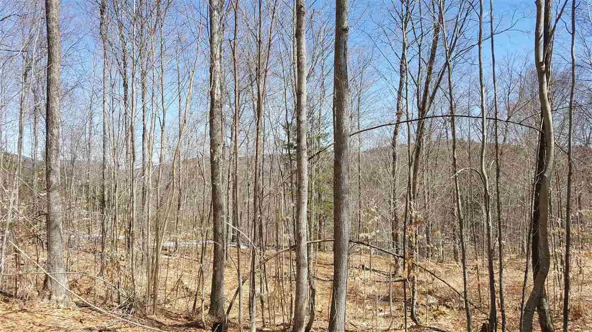 0 Route 113 West Fairlee VT 05083