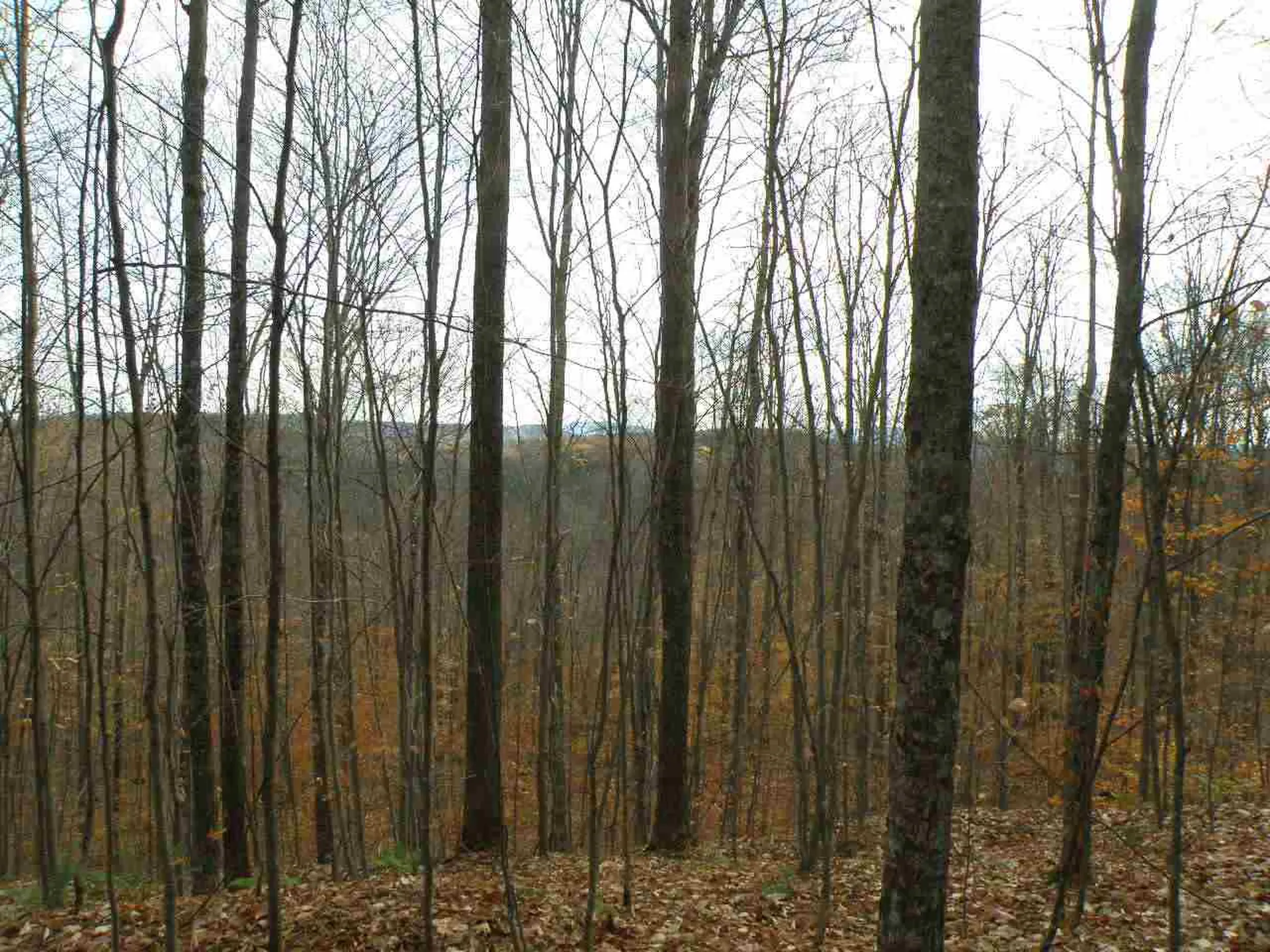 0 Route 113 West Fairlee VT 05083