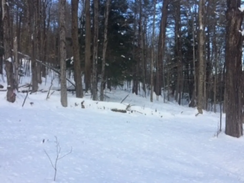 0 Soapstone Road Ludlow VT 05149