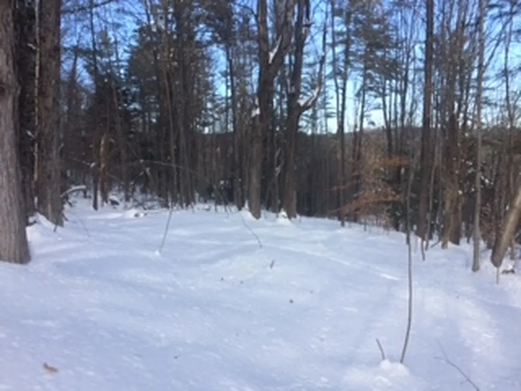 0 Soapstone Road Ludlow VT 05149