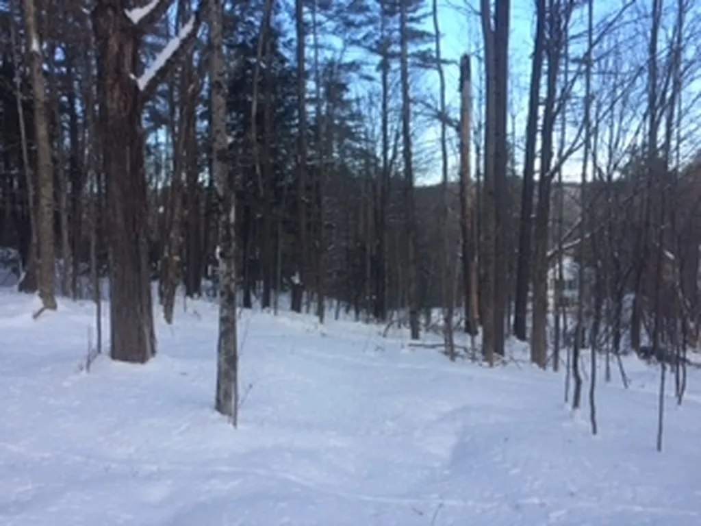 0 Soapstone Road Ludlow VT 05149