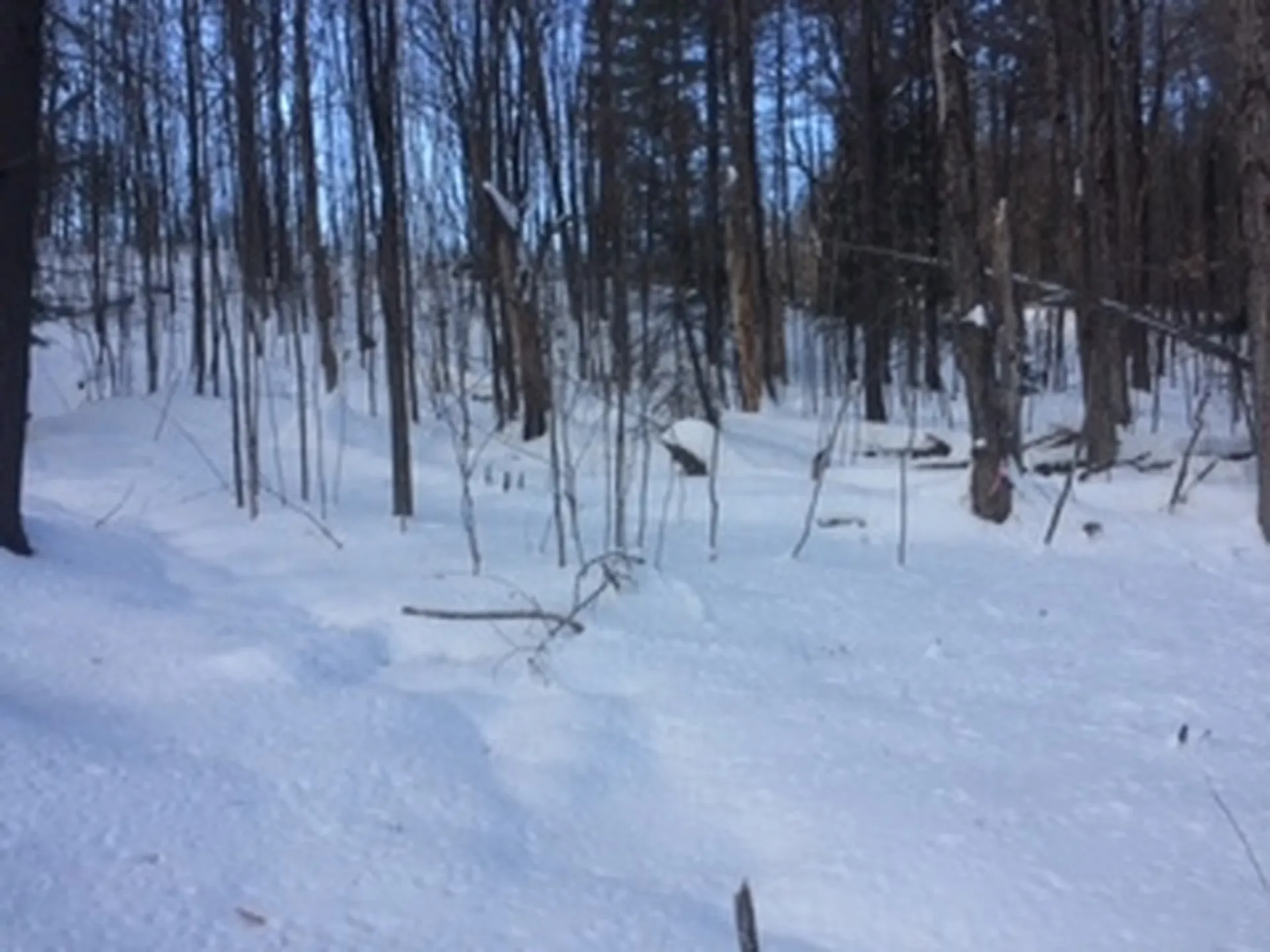 0 Soapstone Road Ludlow VT 05149