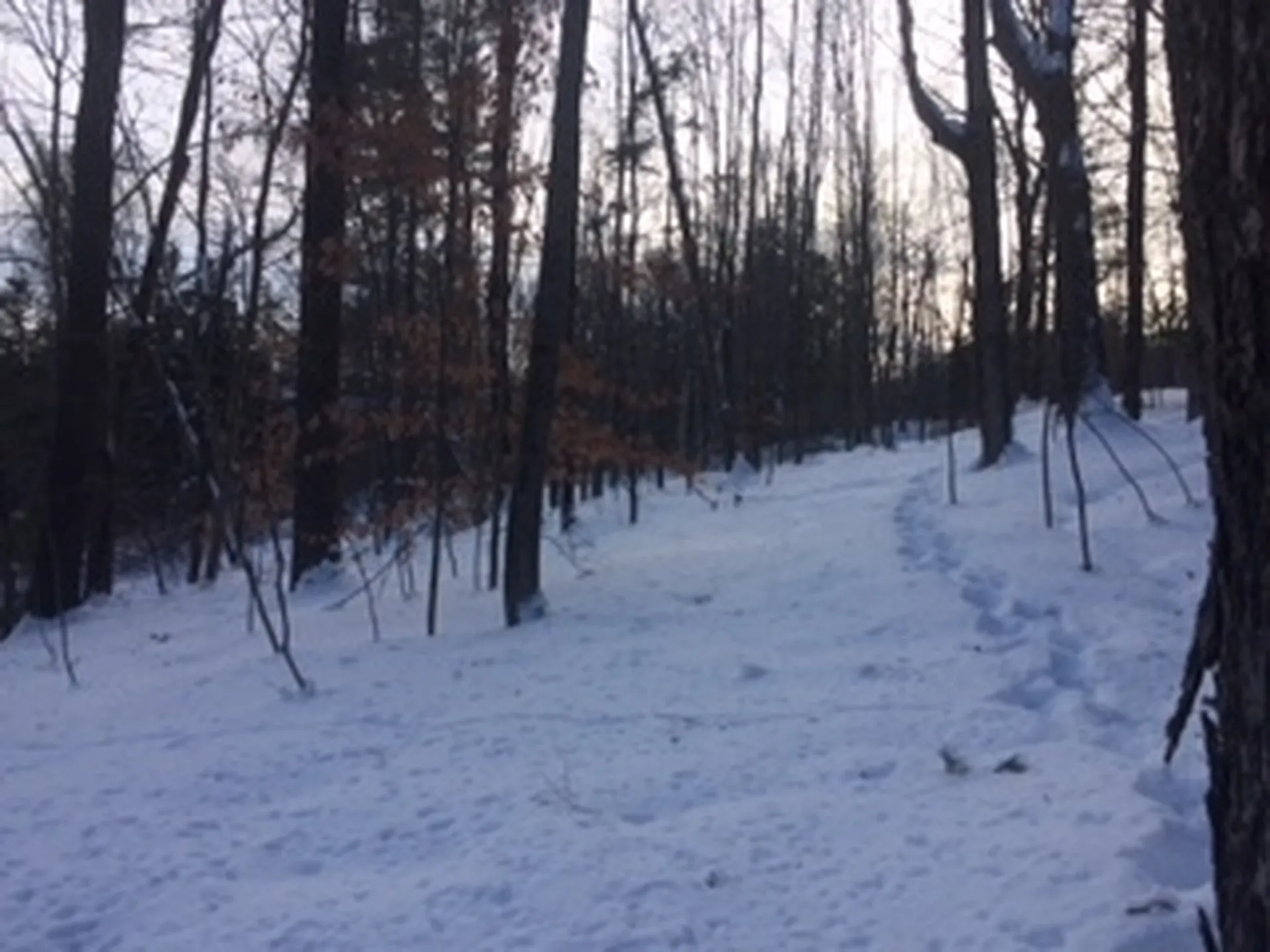 0 Soapstone Road Ludlow VT 05149