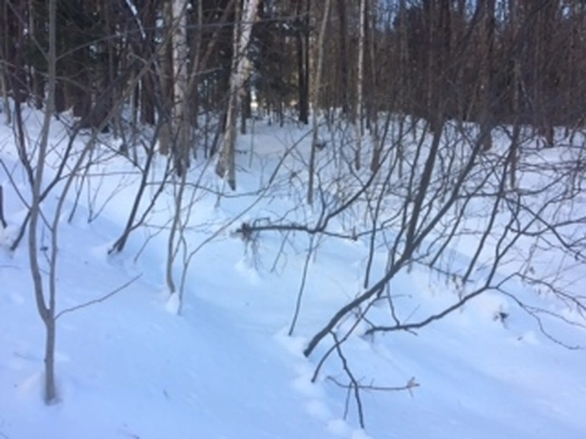 0 Soapstone Road Ludlow VT 05149
