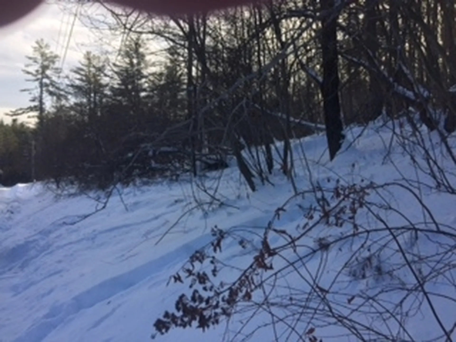 0 Soapstone Road Ludlow VT 05149