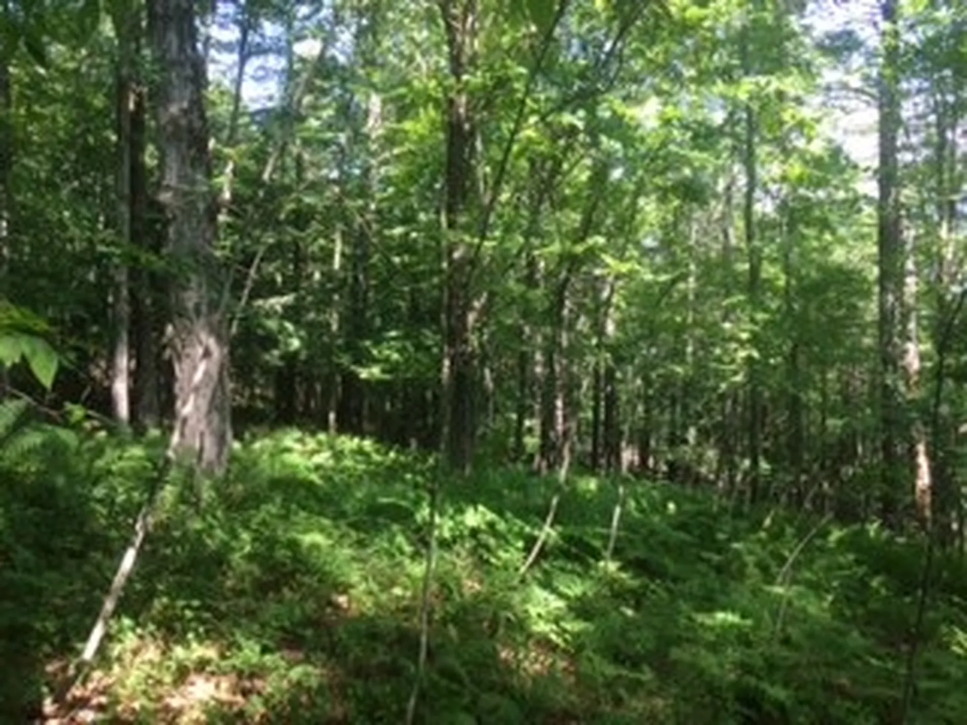 0 Soapstone Road Ludlow VT 05149