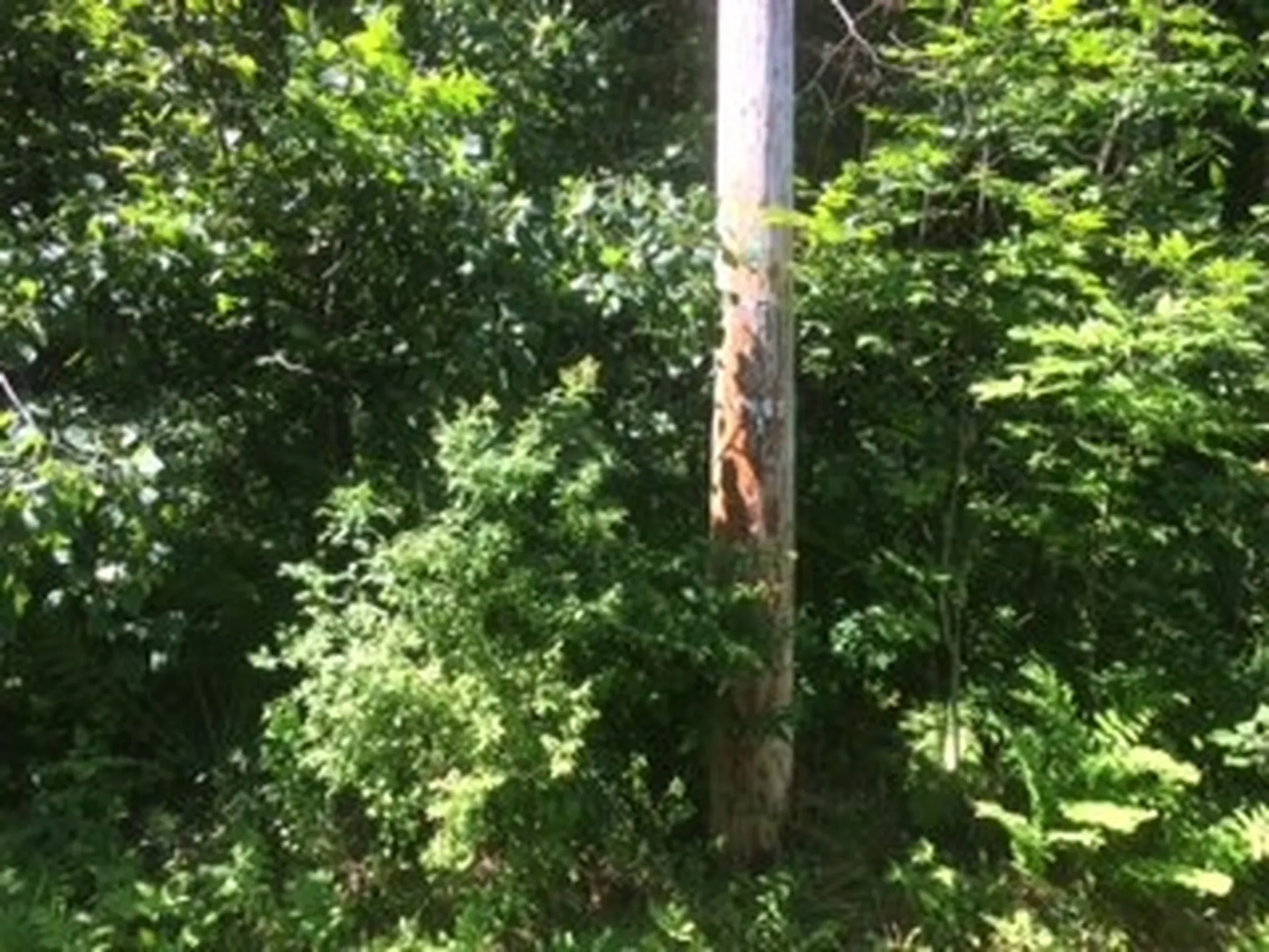 0 Soapstone Road Ludlow VT 05149