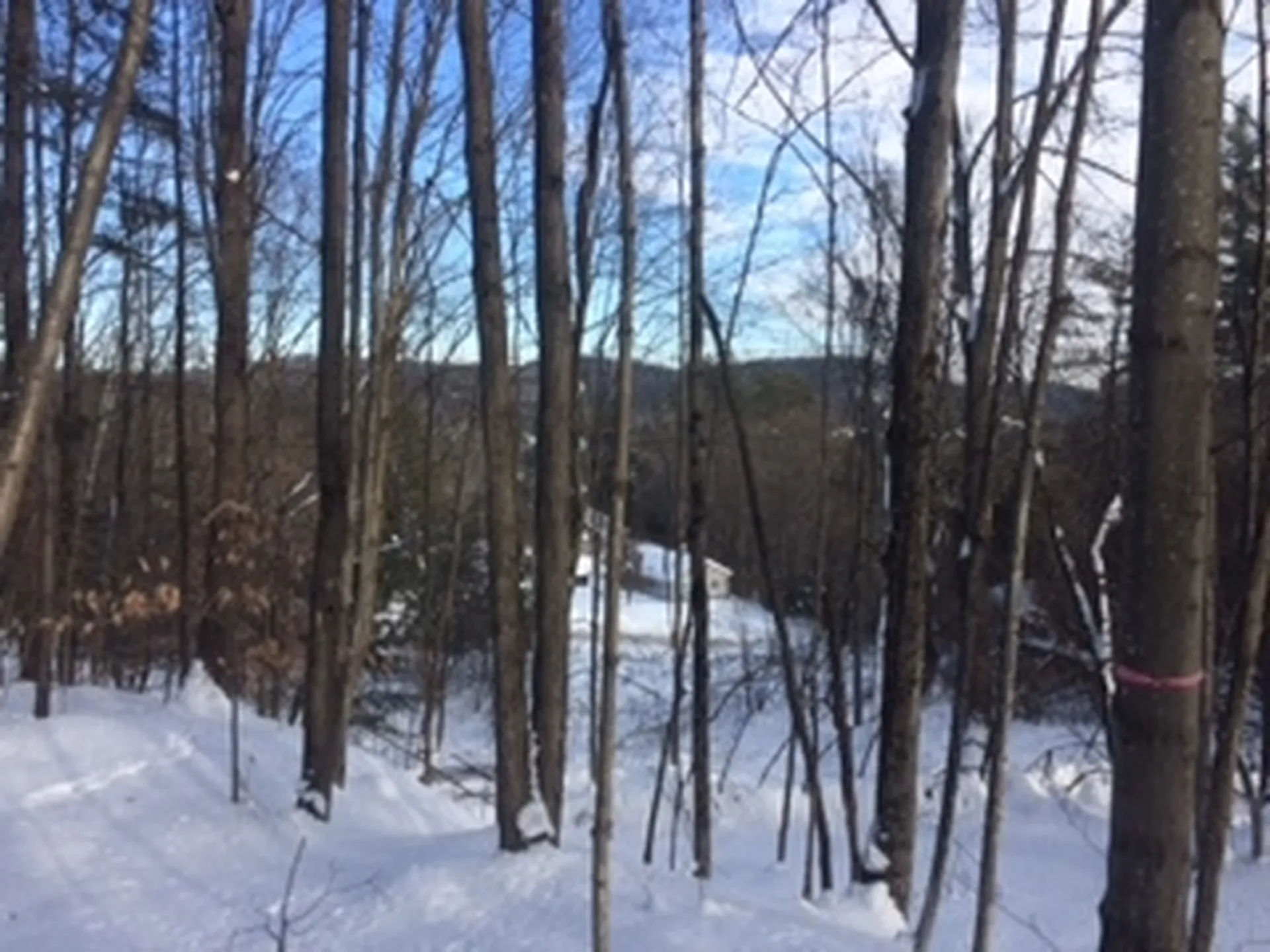 0 Soapstone Road Ludlow VT 05149