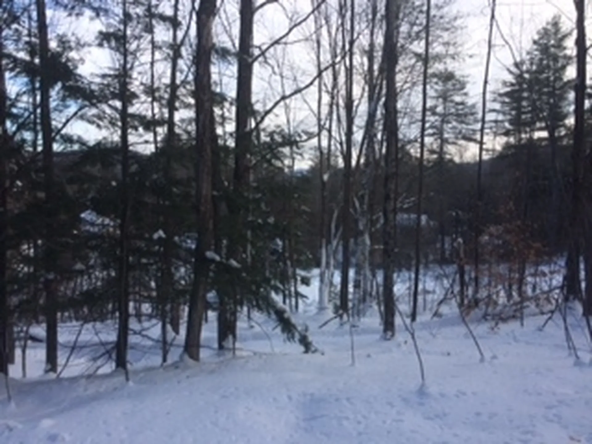 0 Soapstone Road Ludlow VT 05149