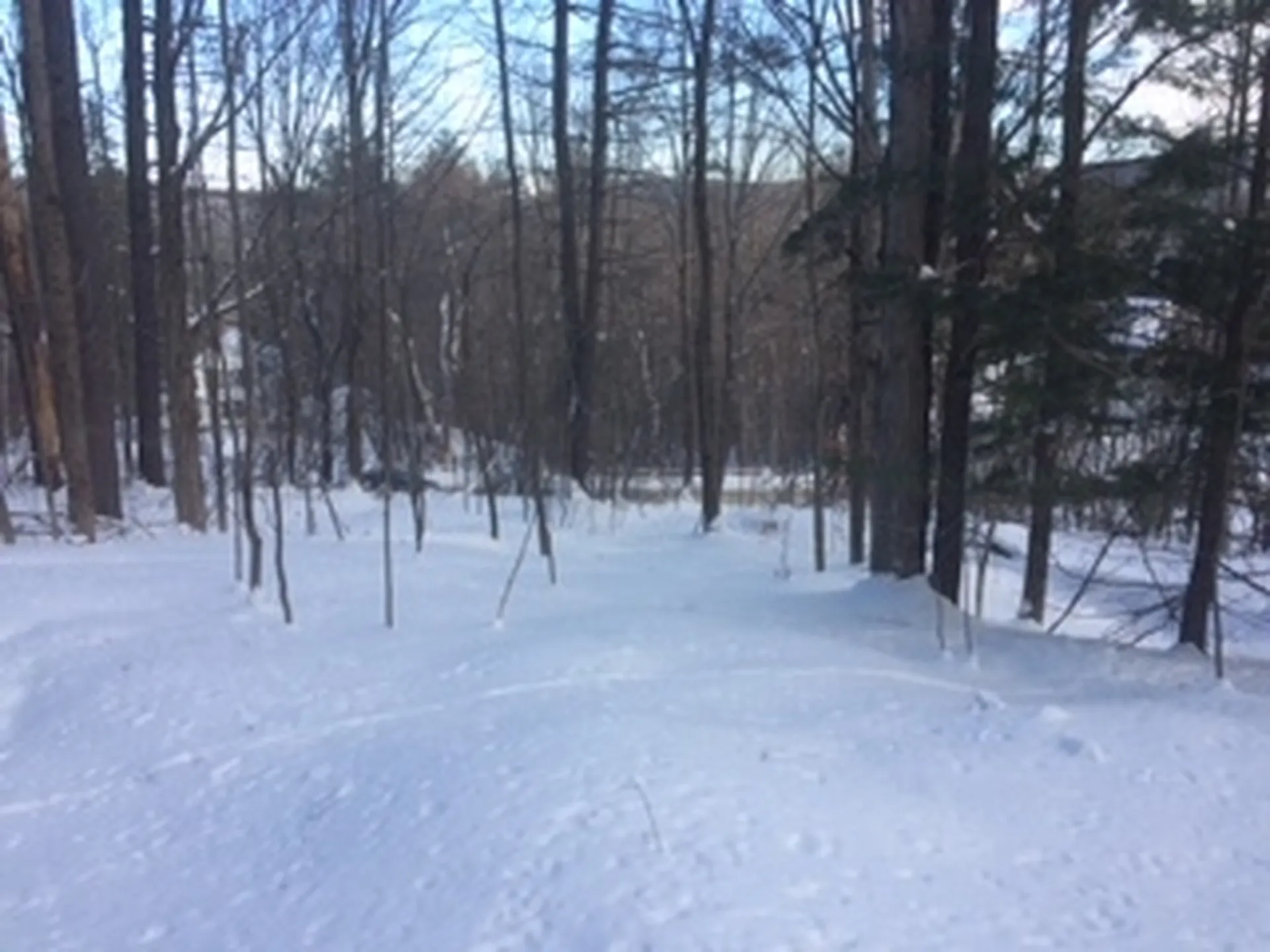 0 Soapstone Road Ludlow VT 05149