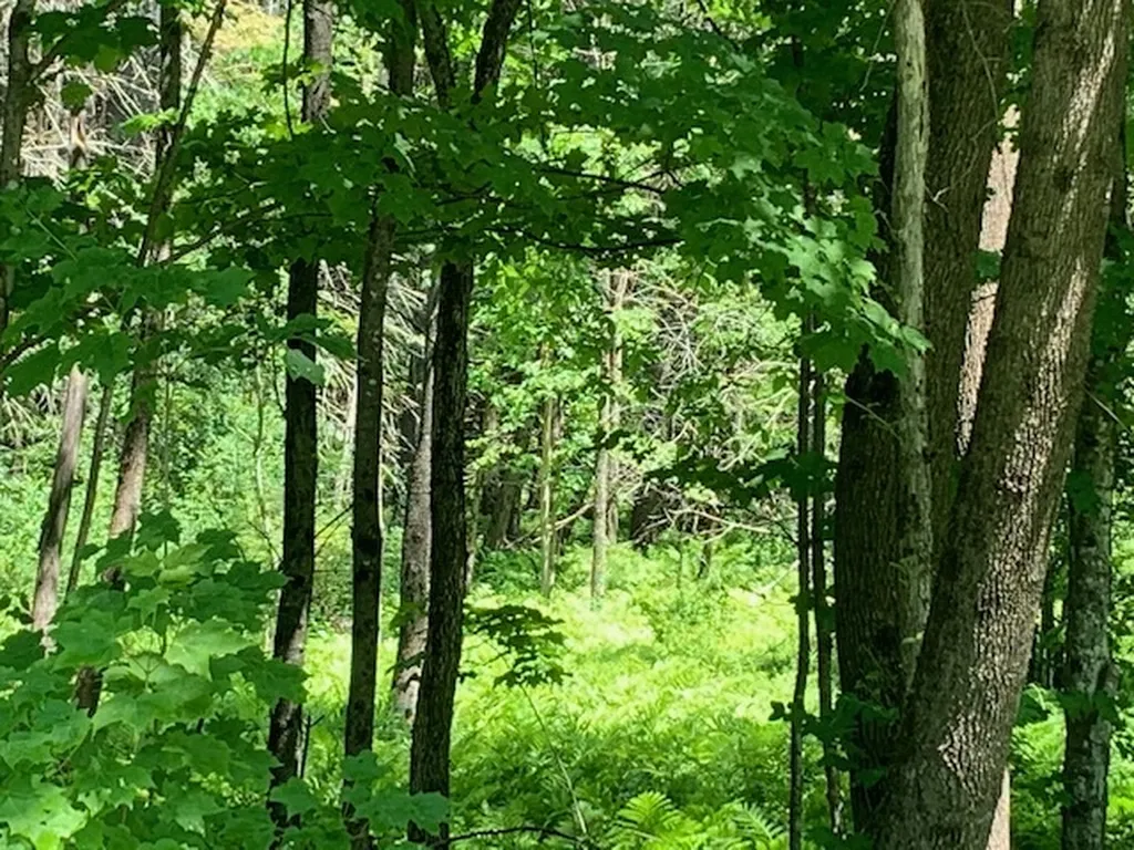 0 Carlton Hill Road Woodstock VT 05091