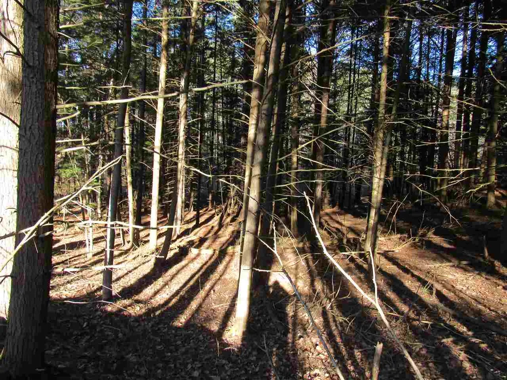 0 Carlton Hill Road Woodstock VT 05091