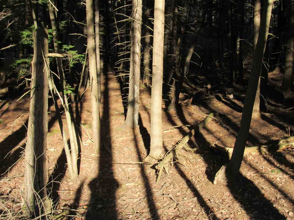 0 Carlton Hill Road Woodstock VT 05091