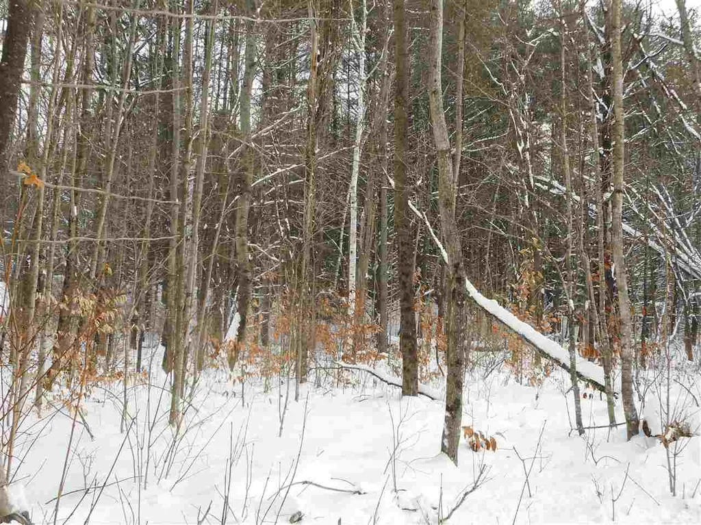 0 Carlton Hill Road Woodstock VT 05091