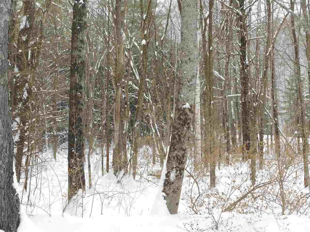 0 Carlton Hill Road Woodstock VT 05091