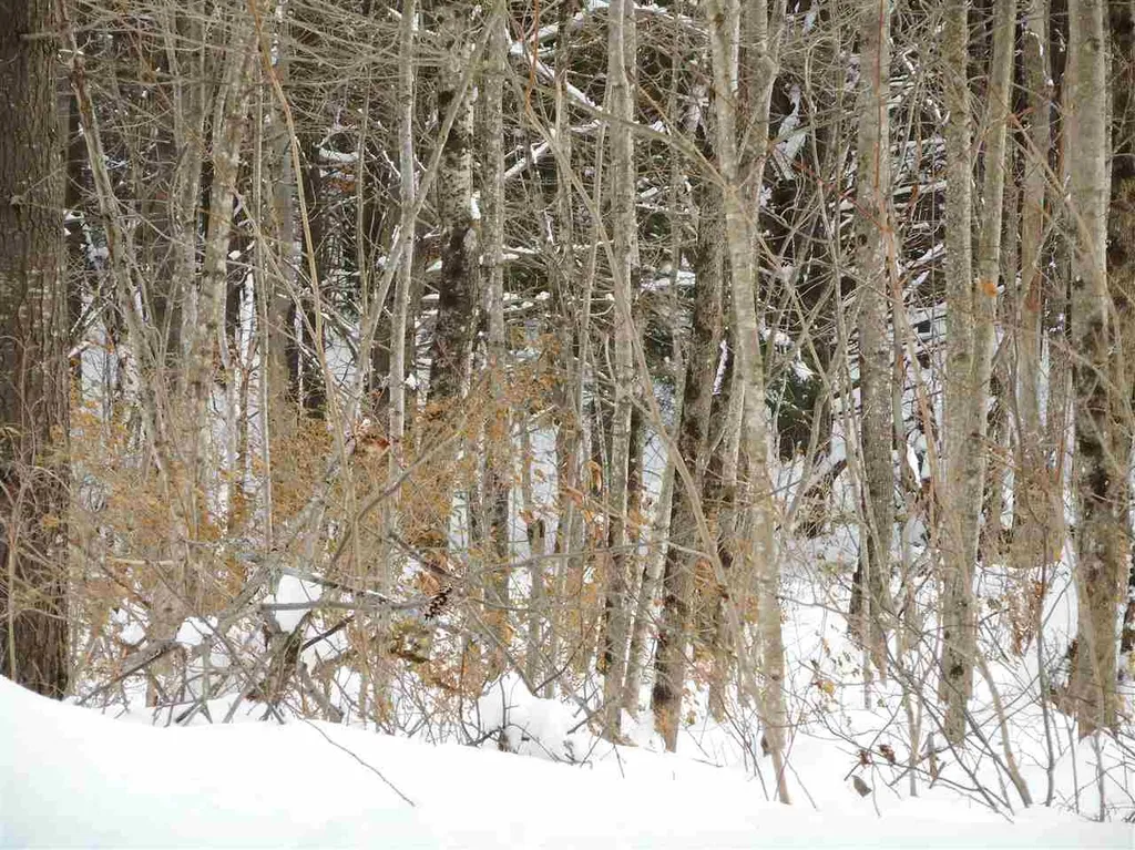 0 Carlton Hill Road Woodstock VT 05091