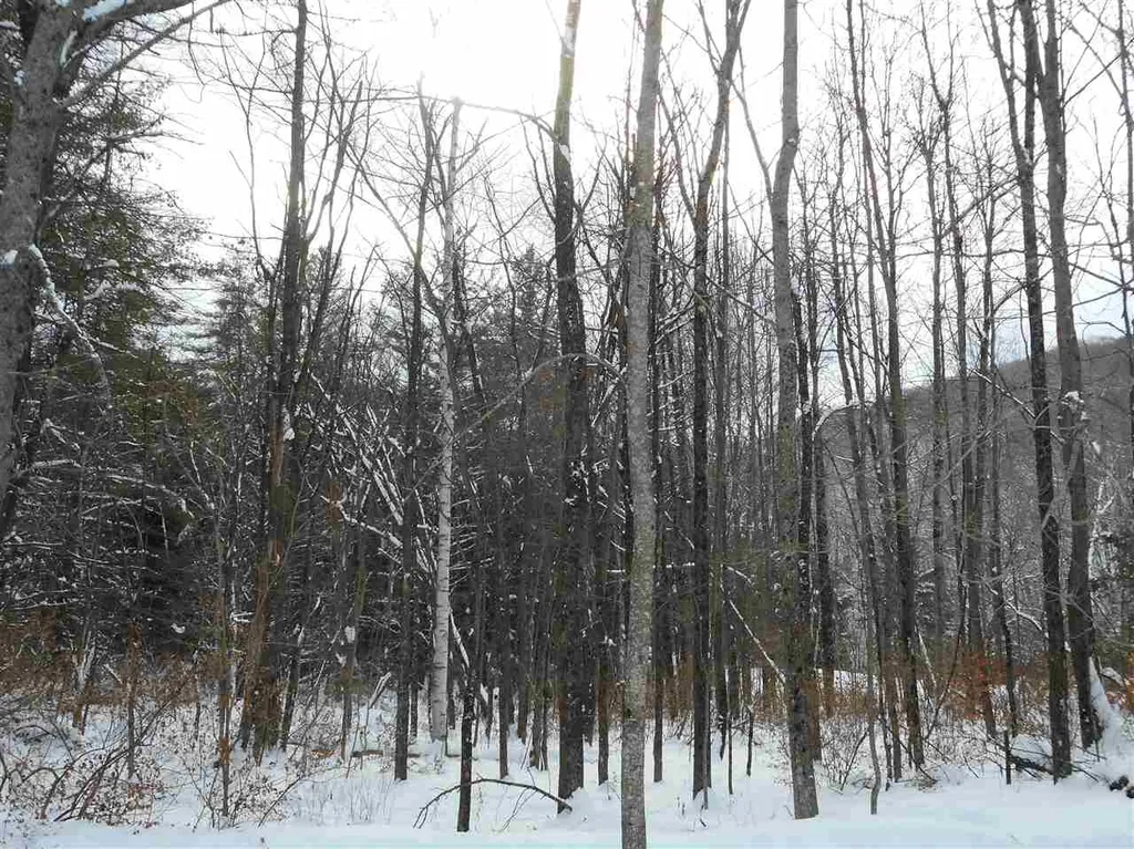 0 Carlton Hill Road Woodstock VT 05091