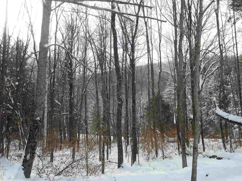 0 Carlton Hill Road Woodstock VT 05091