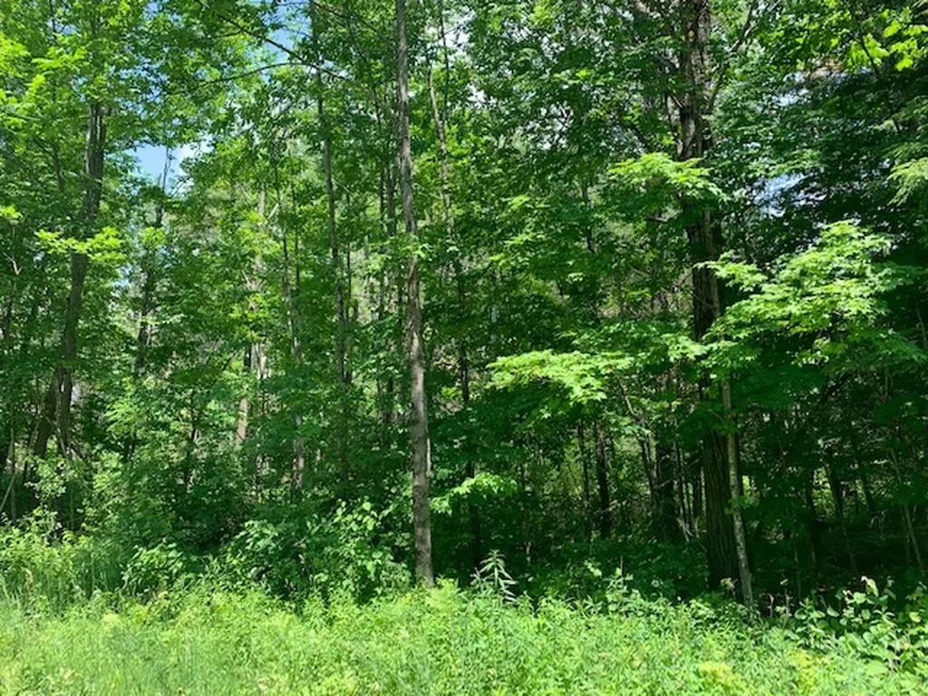 0 Carlton Hill Road Woodstock VT 05091